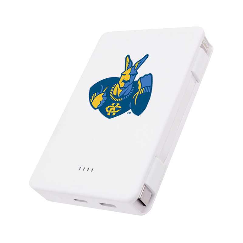 5000mAh UL Listed Power Bank with One Cable™ 7