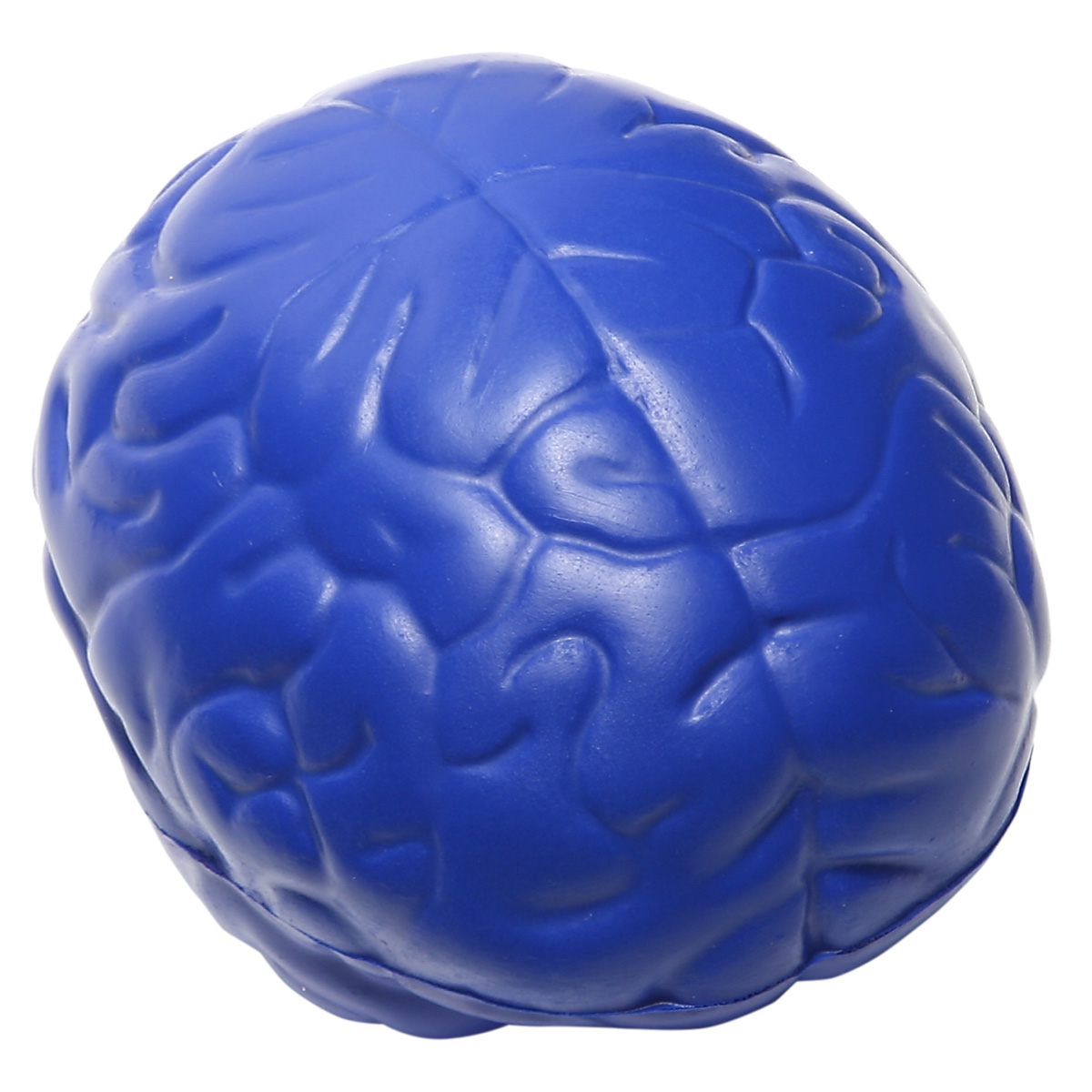 Brain Slo-Release Serenity Squishy™ 13