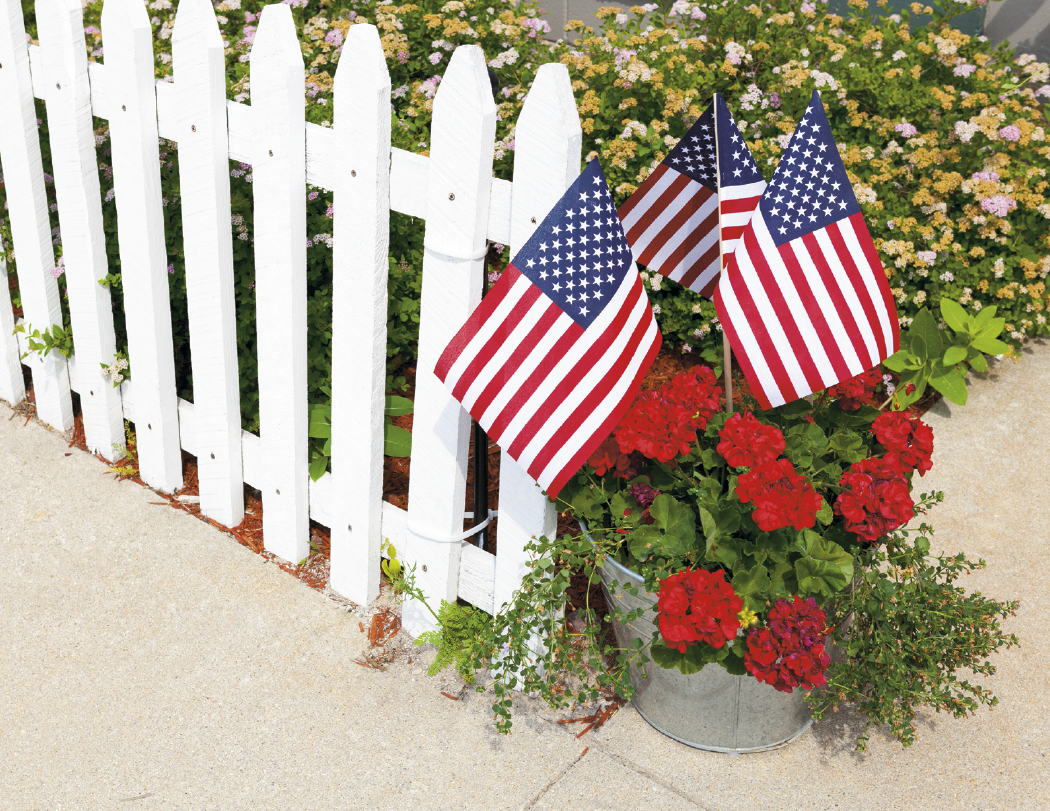Triumph® Calendars I Love America Calendar 41