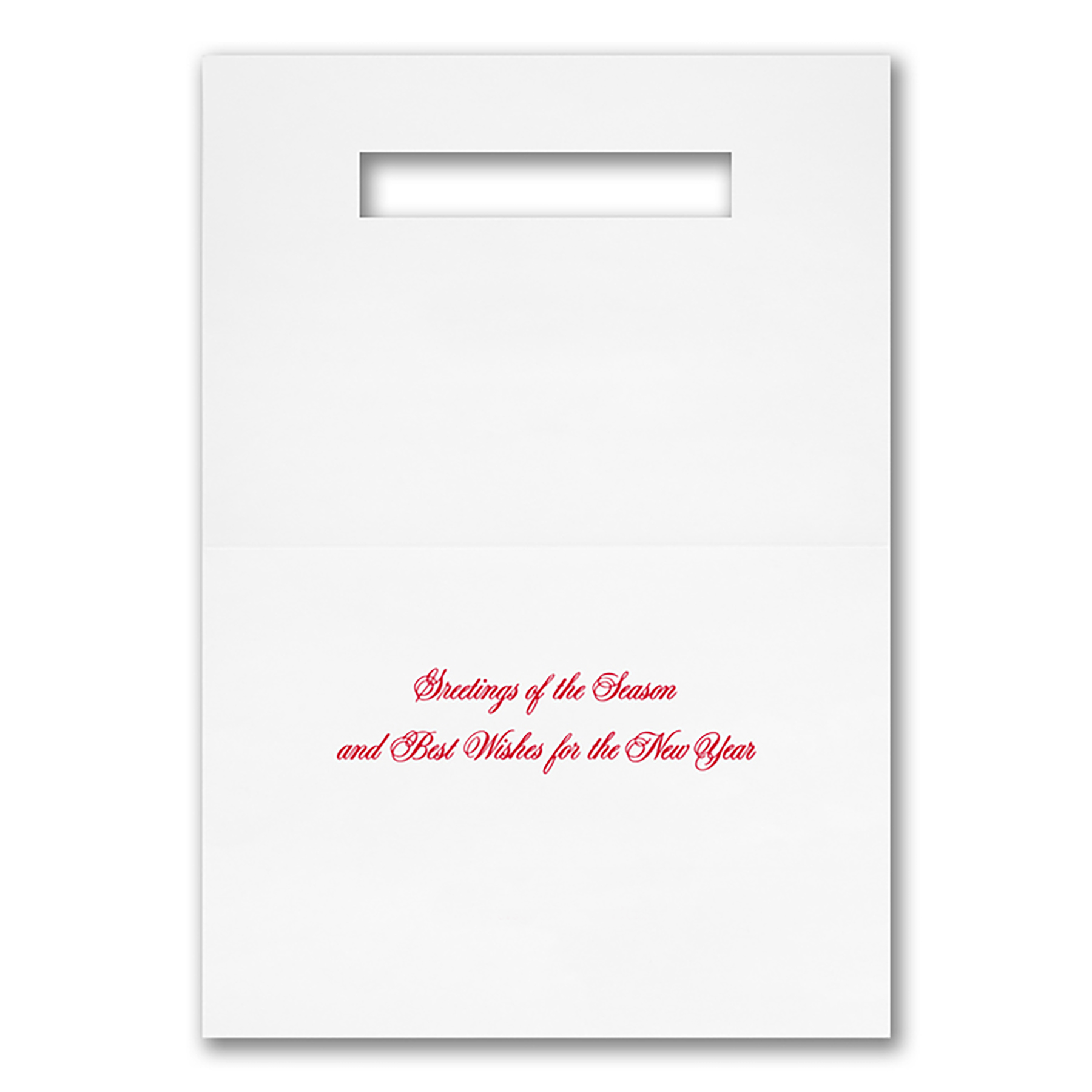 Cardinal Season Holiday Card 2