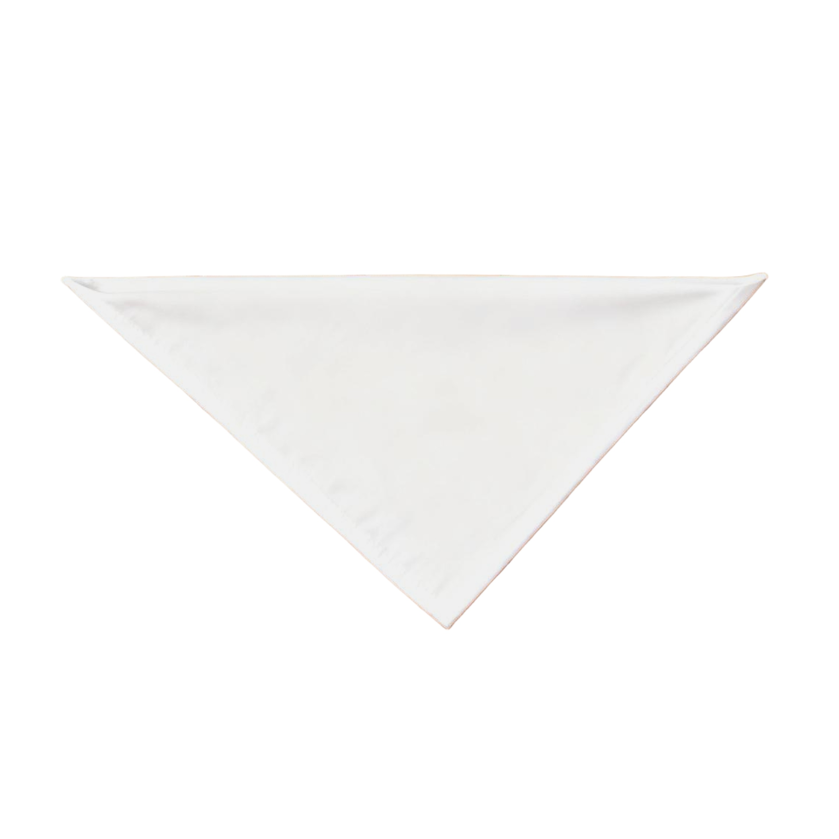 Triangle Pet Bandanna 2