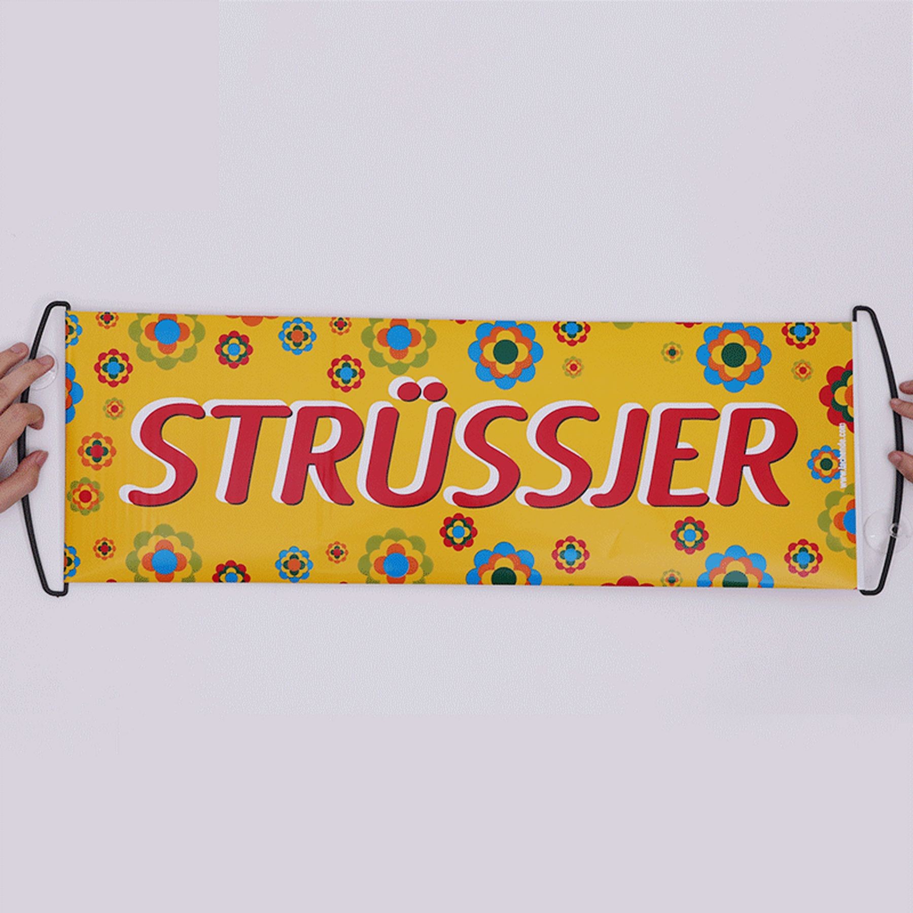 Rolling Up Banner Automatic Contraction Handheld Flag 10