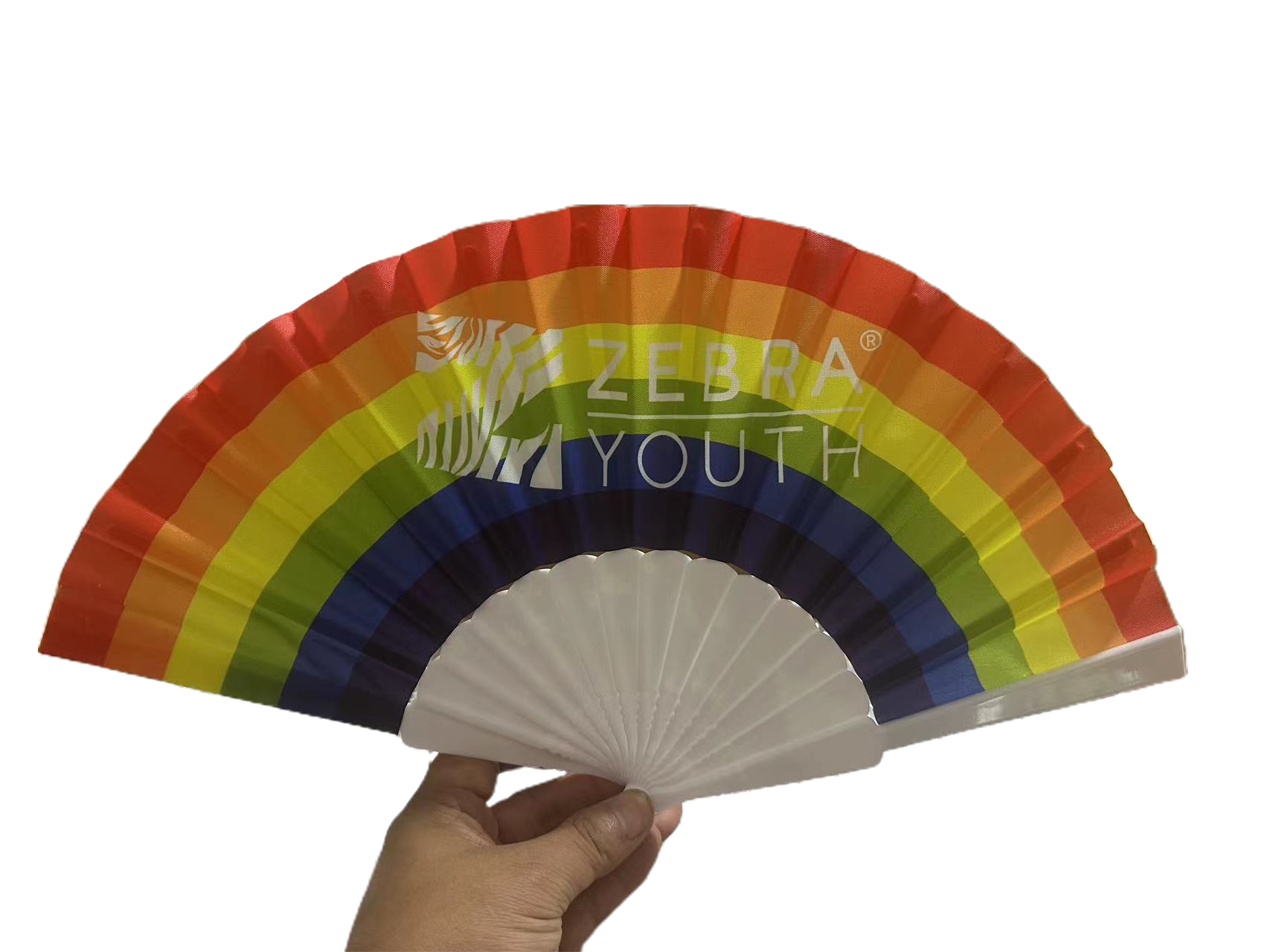 Folding Plastic Hand Fan 3