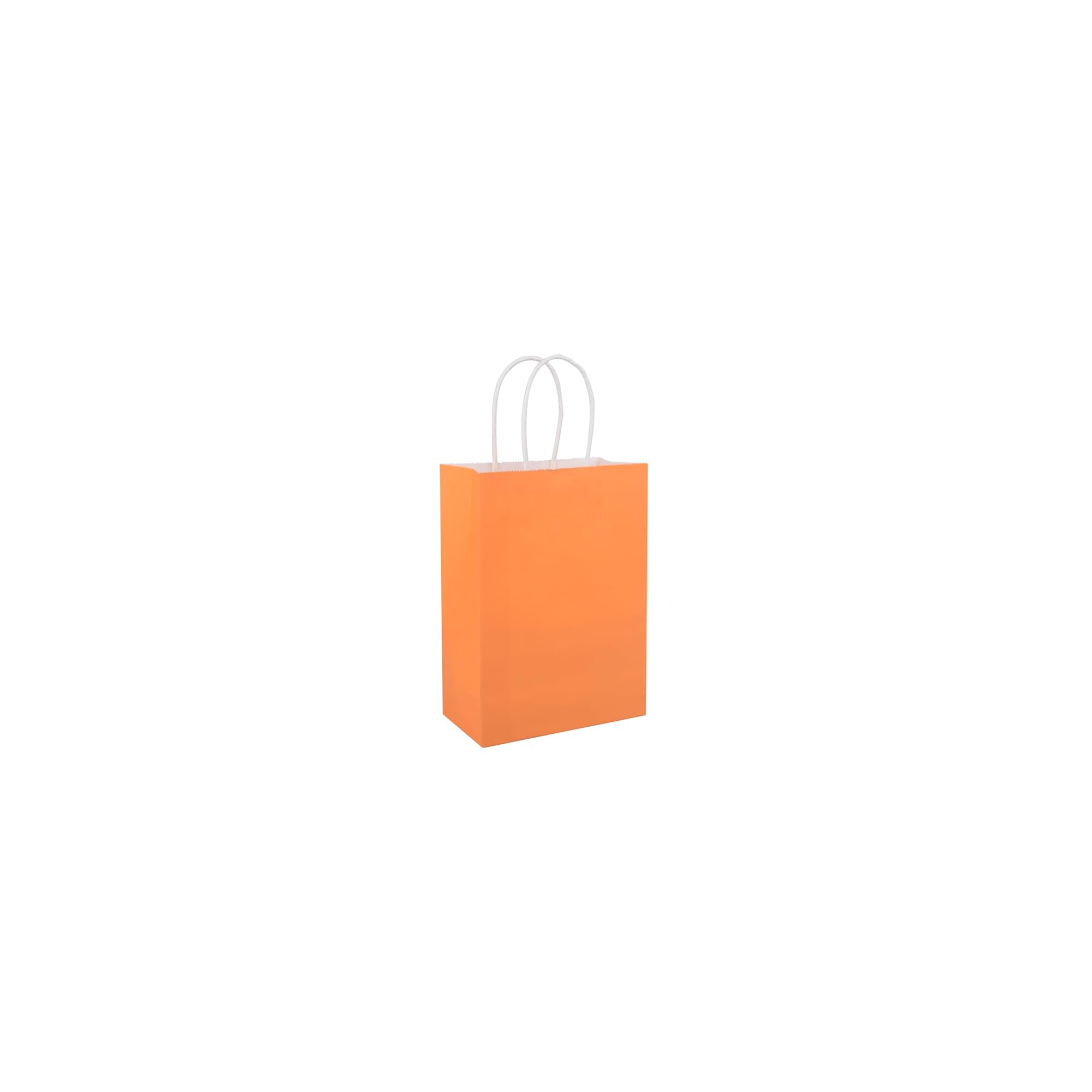 5.9" x 8.3" Full-color Paper Gift Bag 4