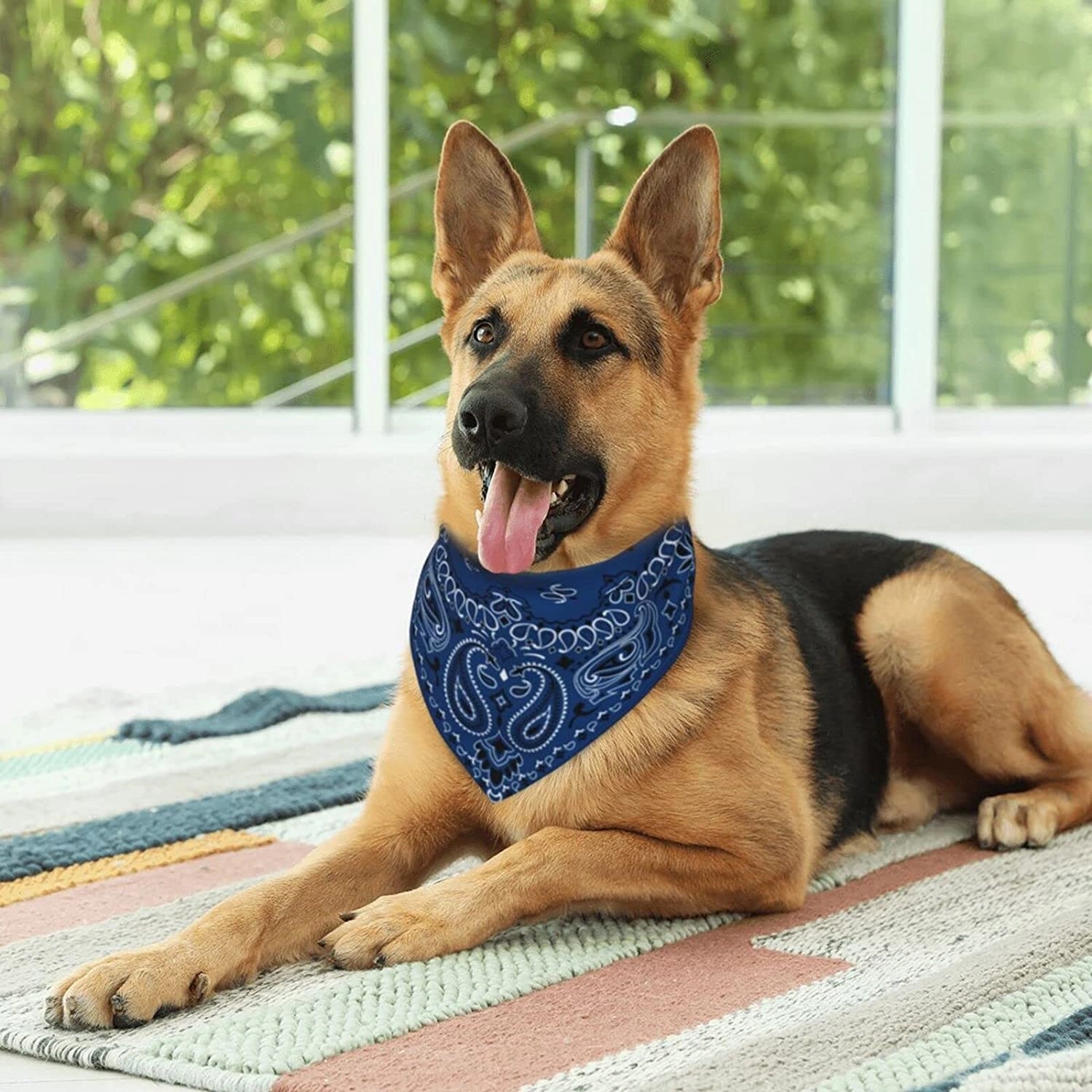 Graphic Print Triangle Pet Bandana 3