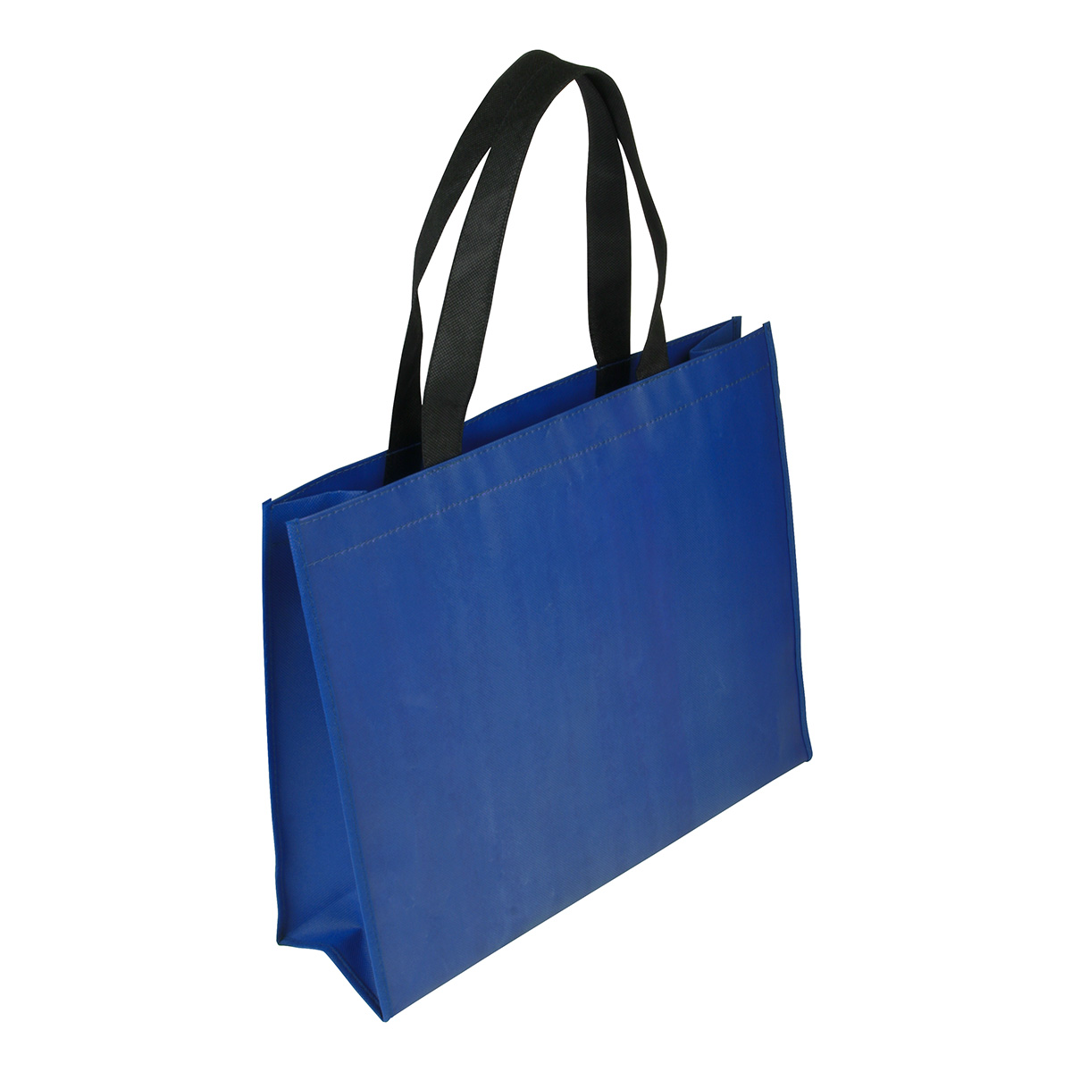 Raindance XL Water Resistant Non-Woven Tote 2