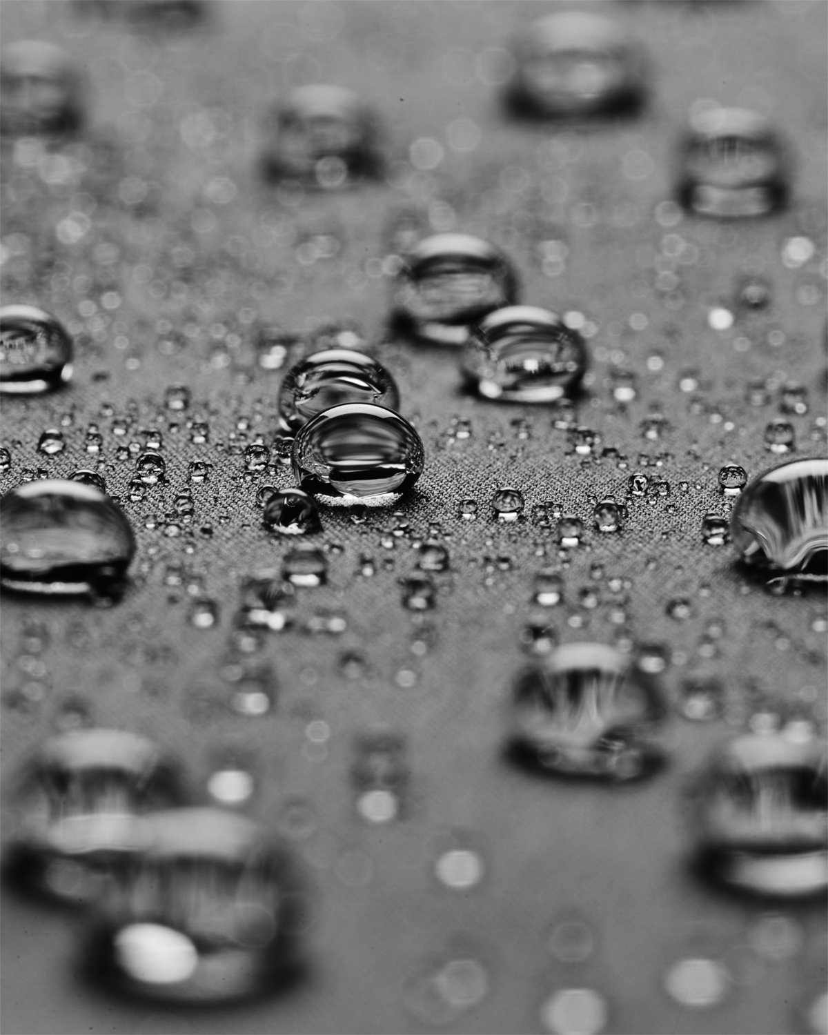 Men's CGI Shield 2 0 Hooded Jacket