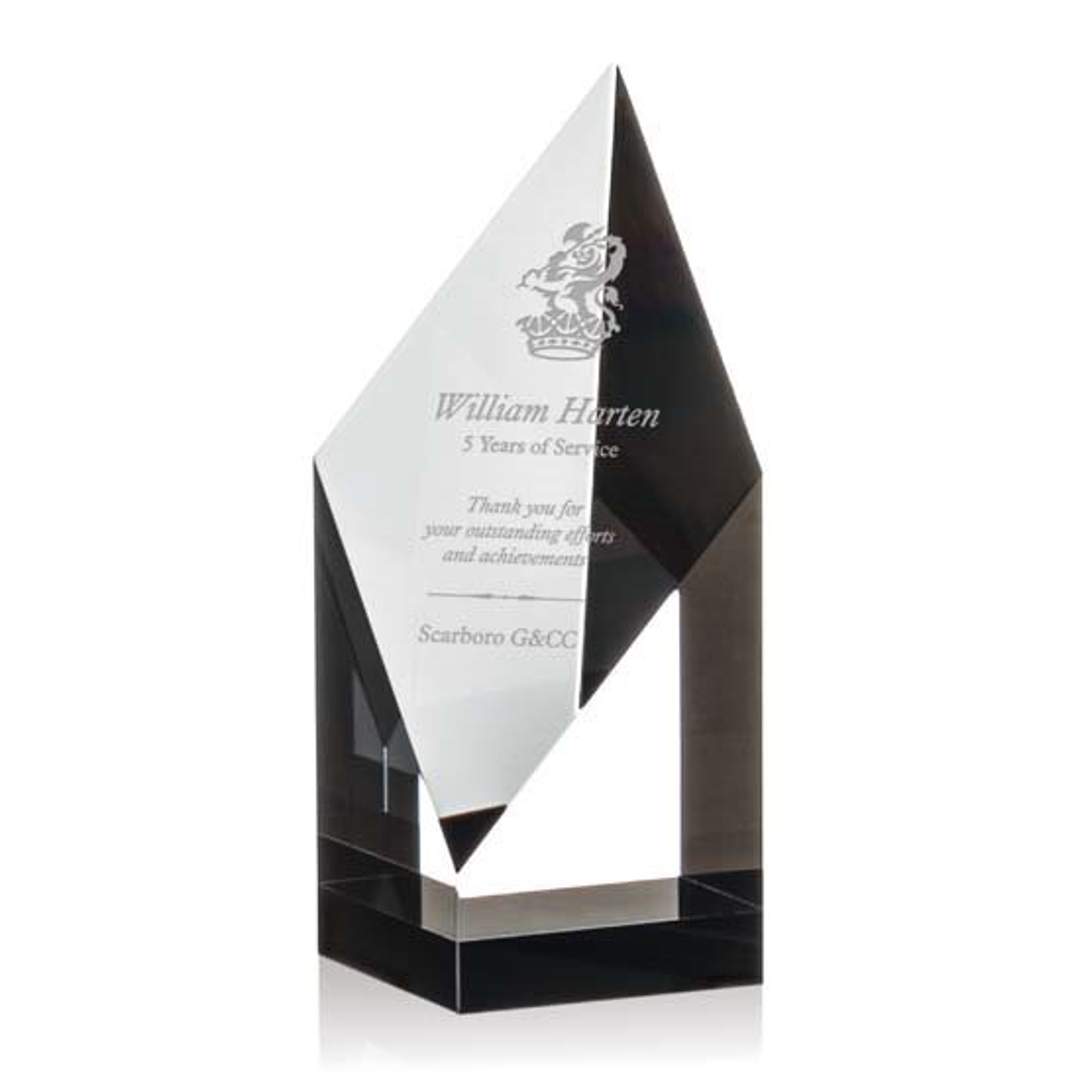 Vertex Award - Black 3