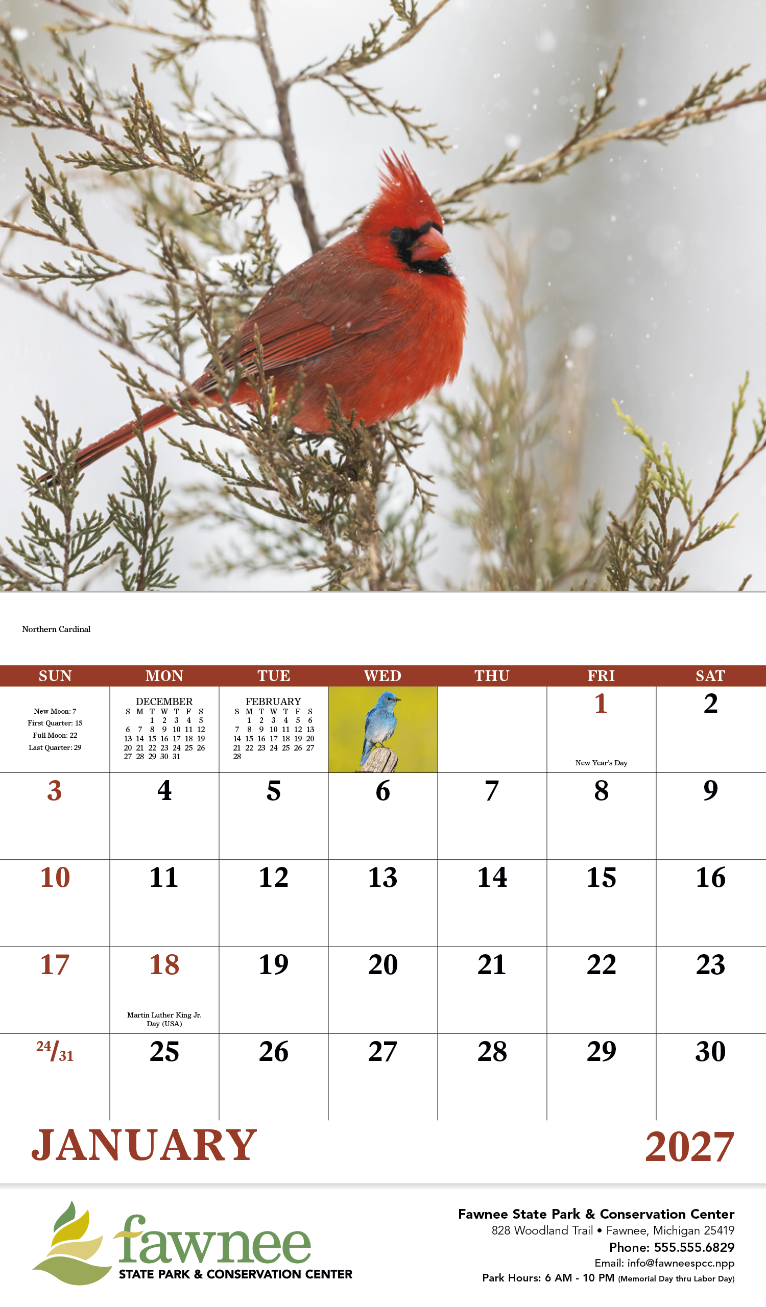 Good Value™ Birds of North America - Stapled Calendar 37