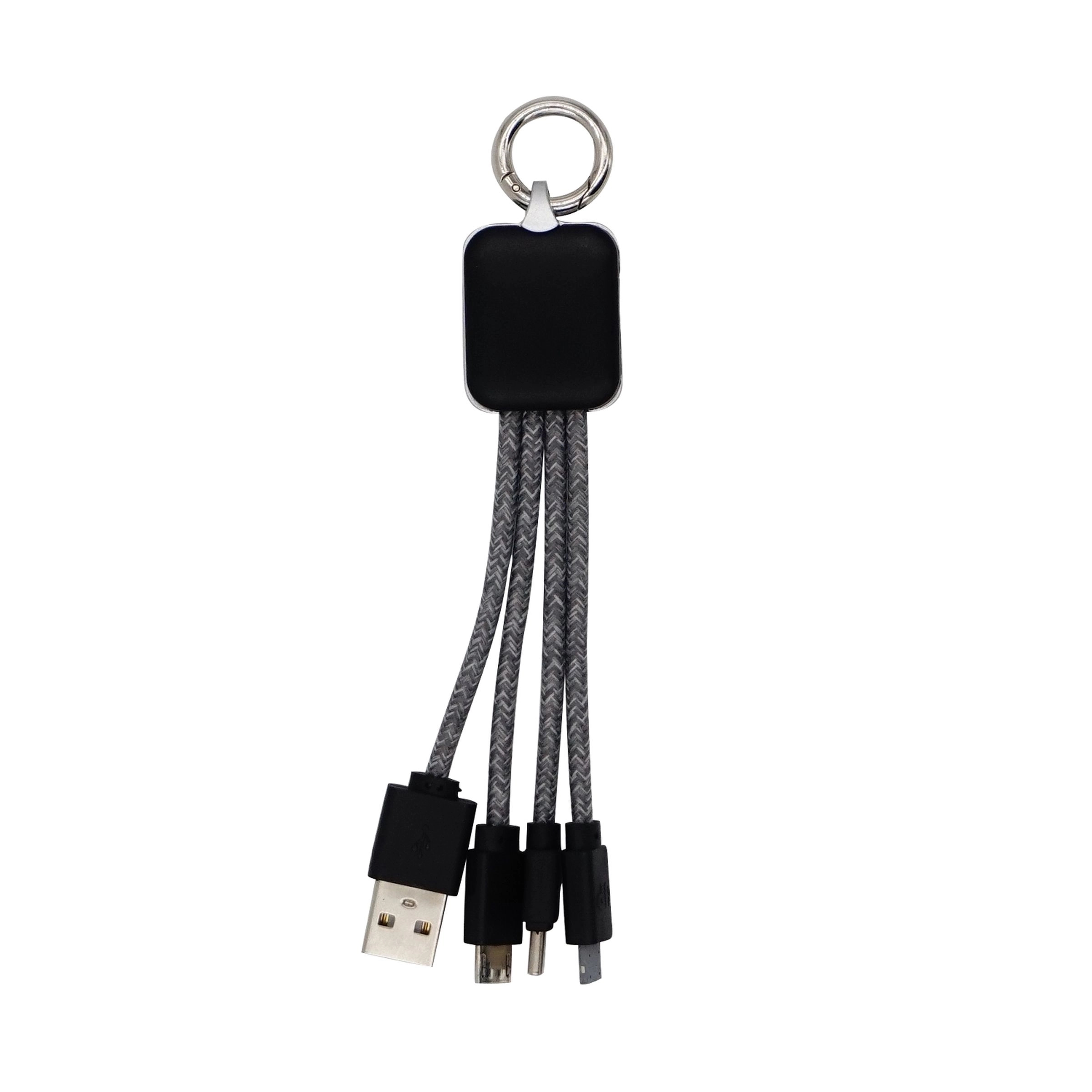 Ridge Logo Light Up Cable with Type C USB 9
