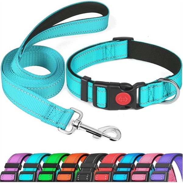 Reflective Dog Leash 2