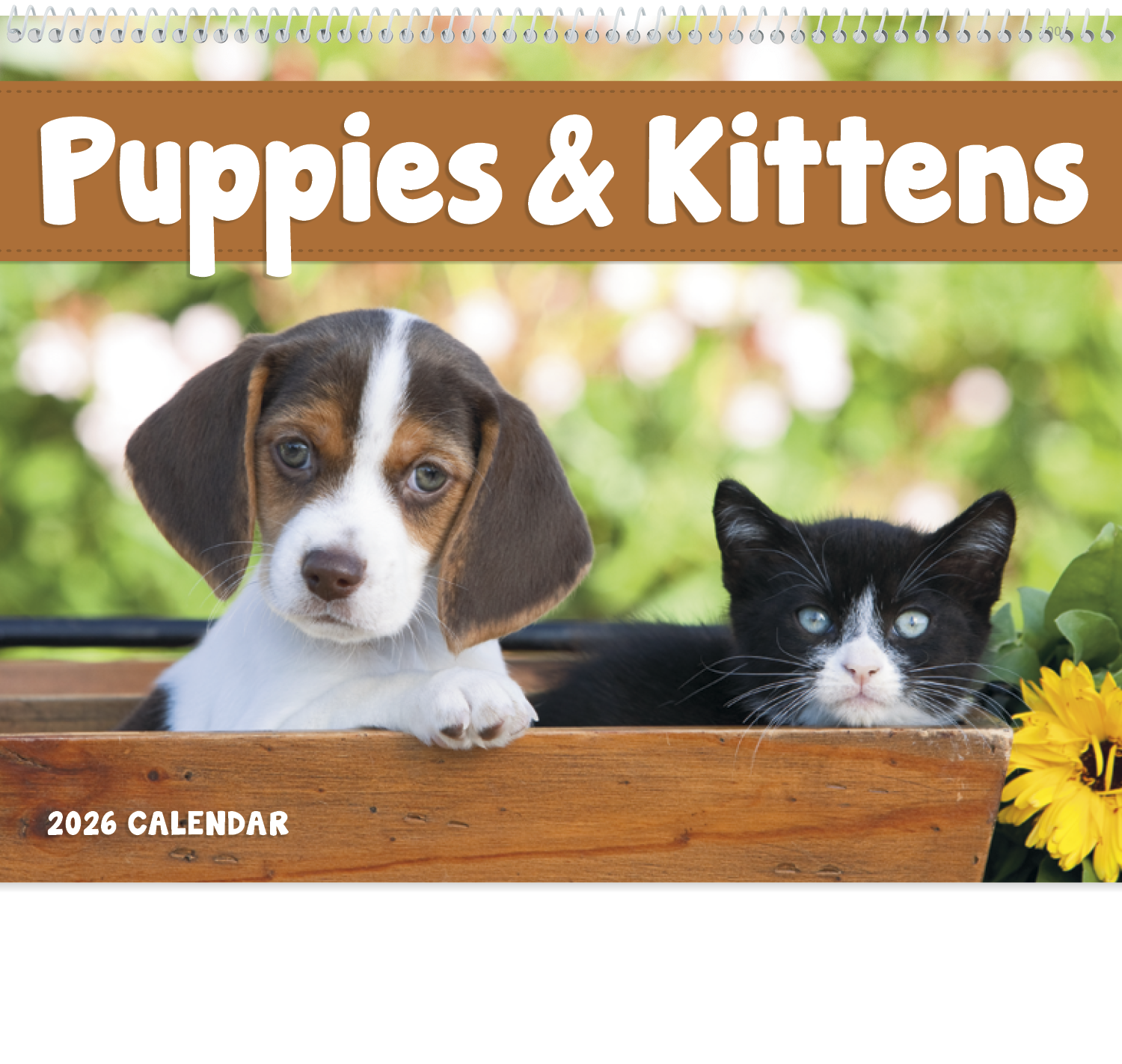 Good Value™ Puppies & Kittens - Spiral Calendar 7