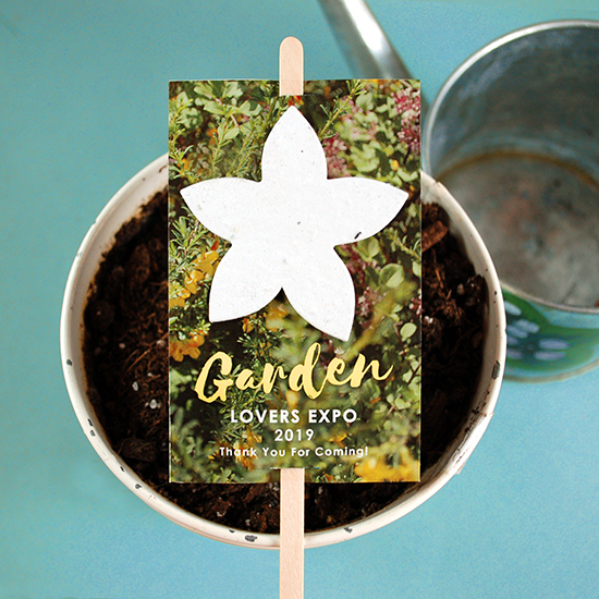 Double-Sided Wildflower Planting Sticks 8