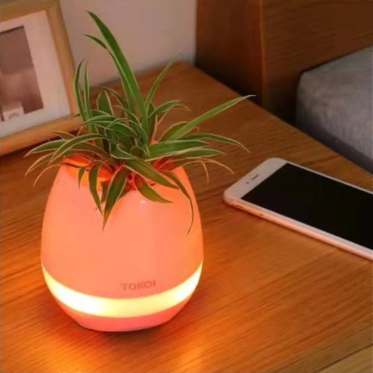 Bluetooth Music Planter With Touch Piano And RGB Light 7