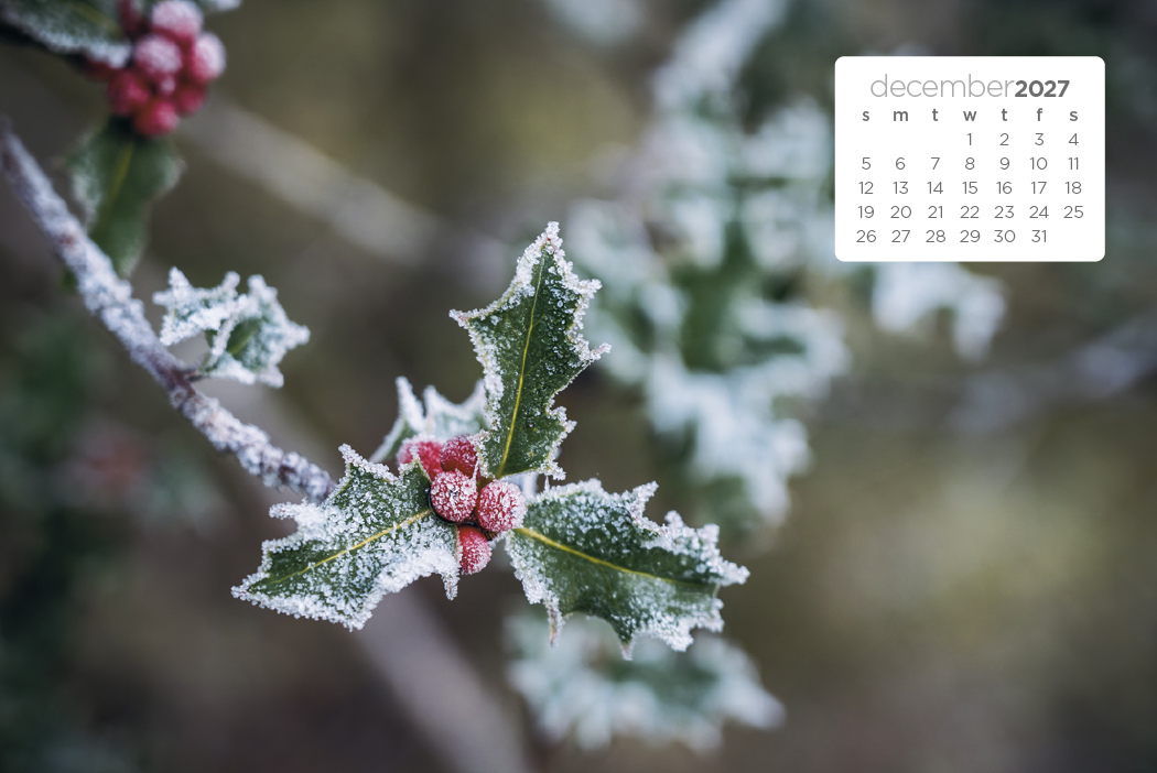 Triumph® Calendars Simplicity Large Desk Calendar 54