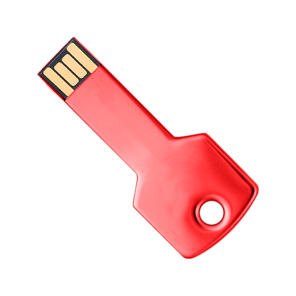 Berwyn Key Shape USB Flash Drive