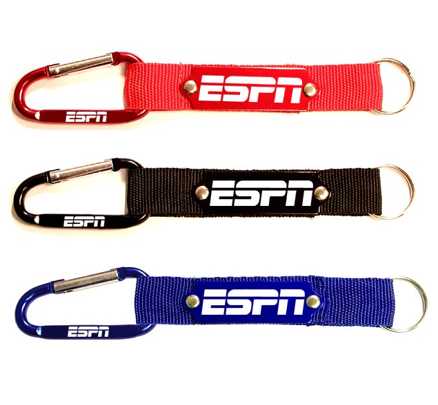 Carabiner with Strap and Metal Plate