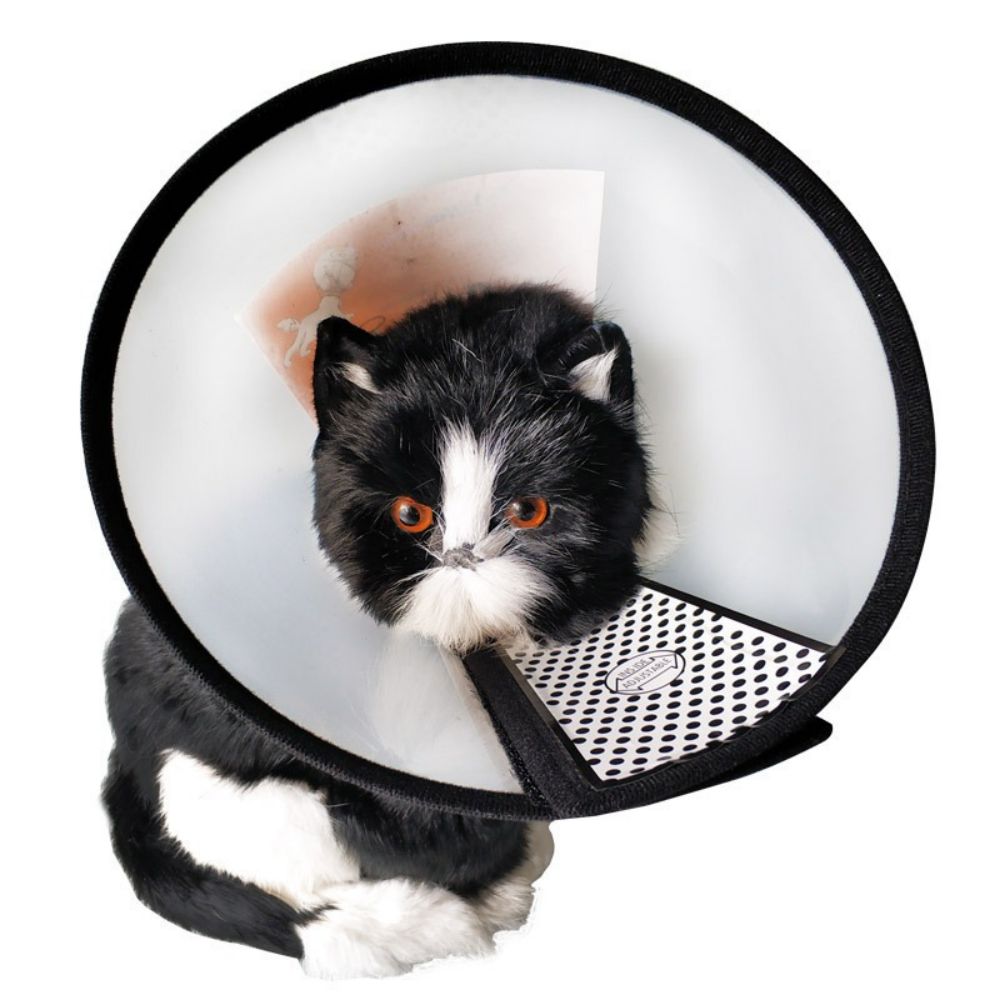 Anti-lick And Bite Pet Collar 2