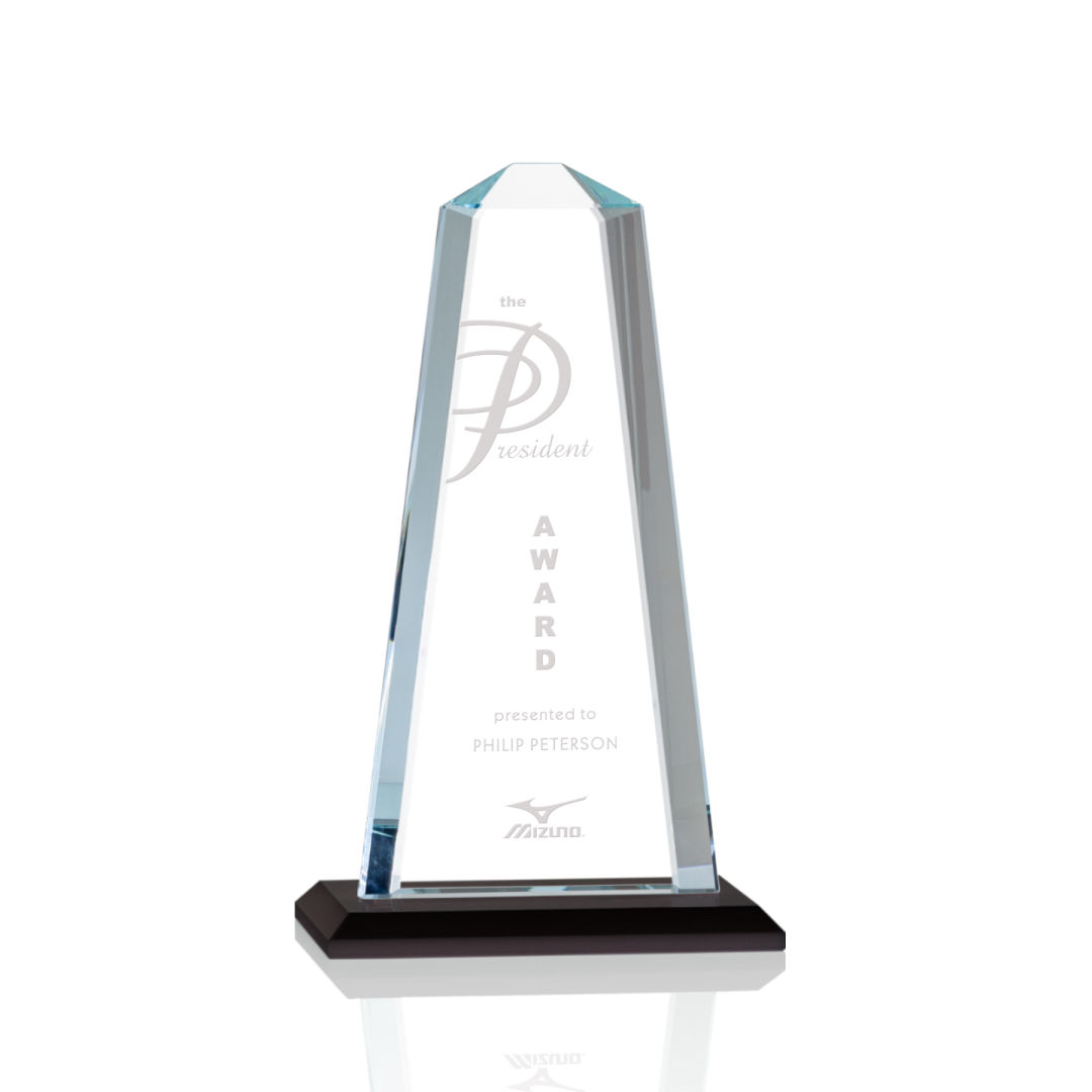 Pinnacle Award - Black 4