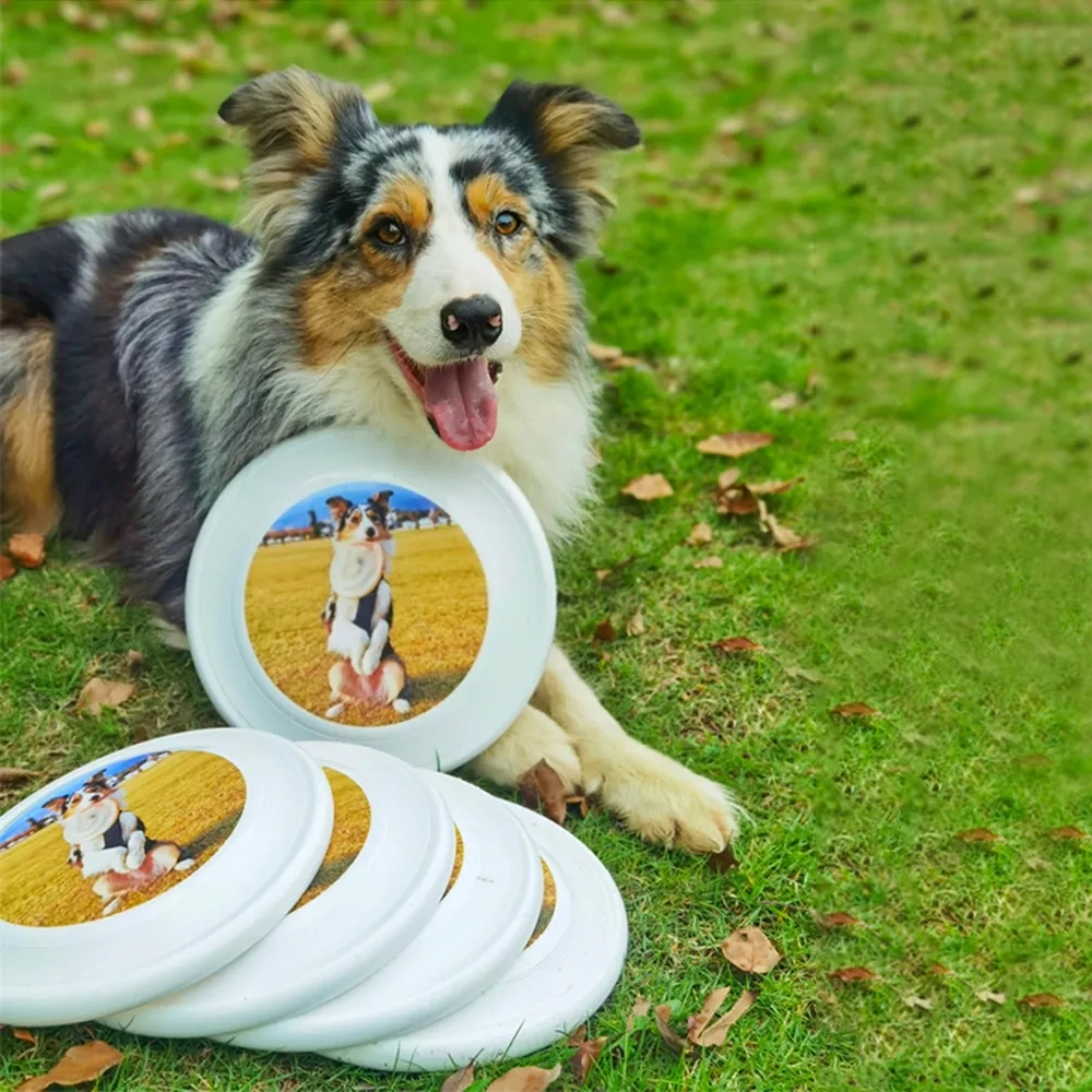 World's Toughest Canine Competition Dog Flying Disc Toy Pets 5