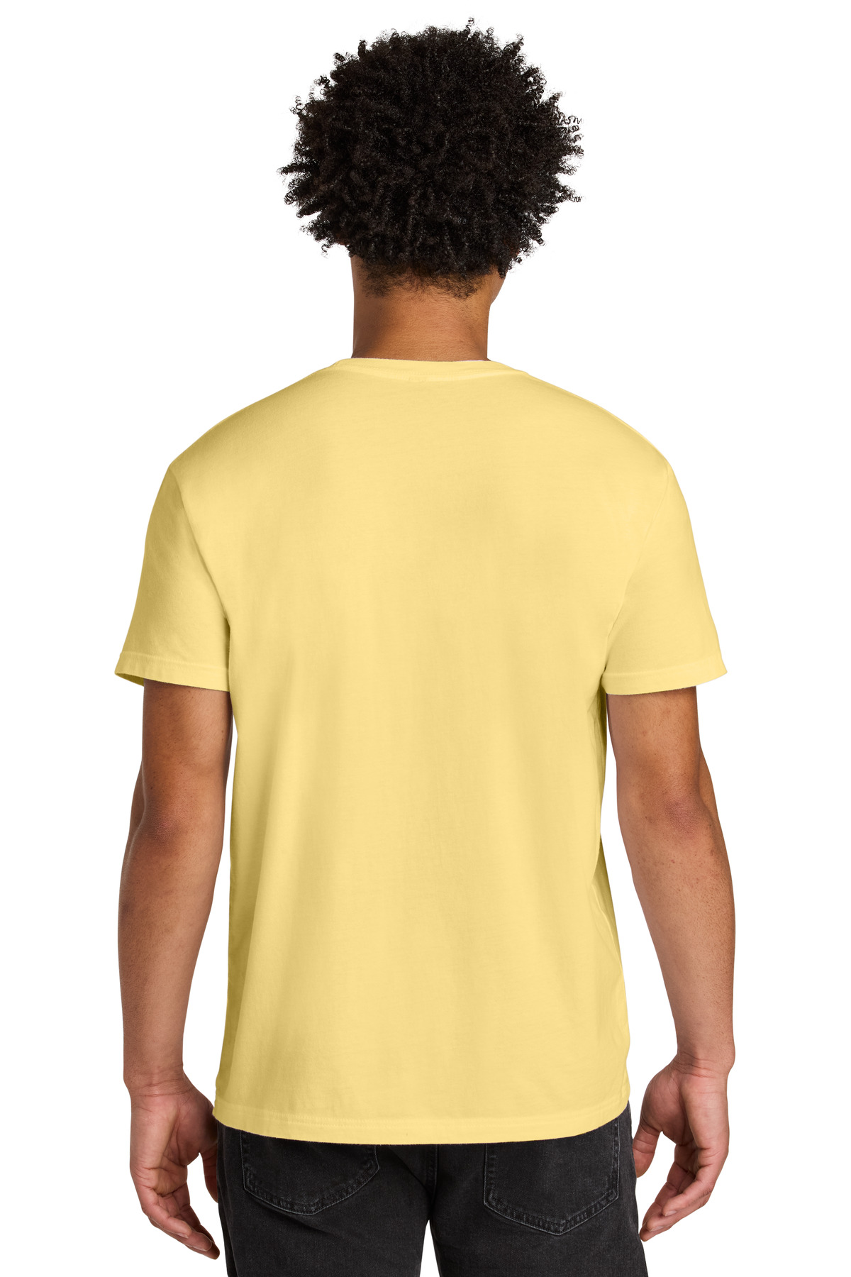 Next Level Apparel Soft Wash Cotton Tee NL3600SW 2