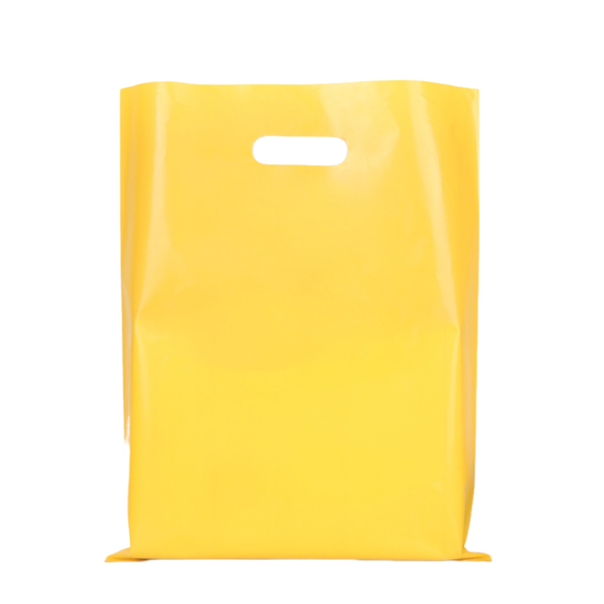 Polyethylene Die Cut Plastic Bag 9.8" x 13.8" 8