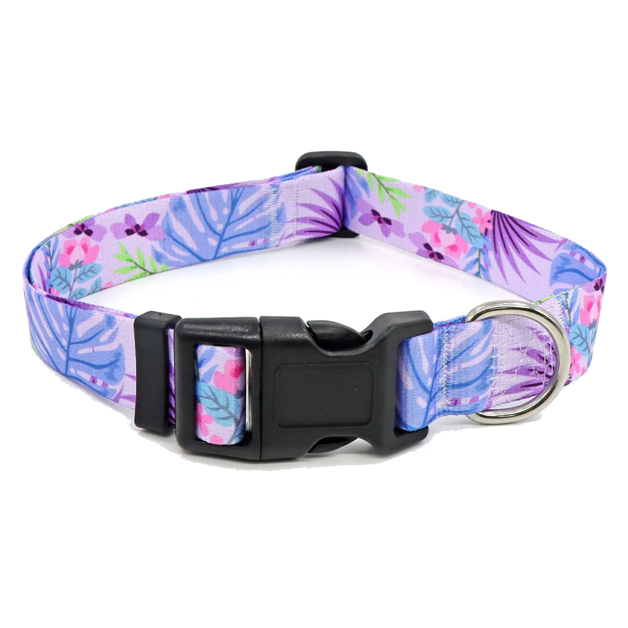 Colorful Pet Collars 11