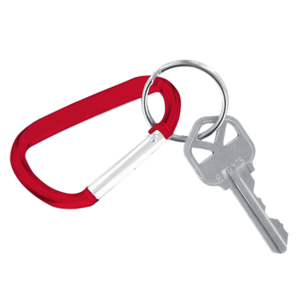 Carabiner Keychain 14