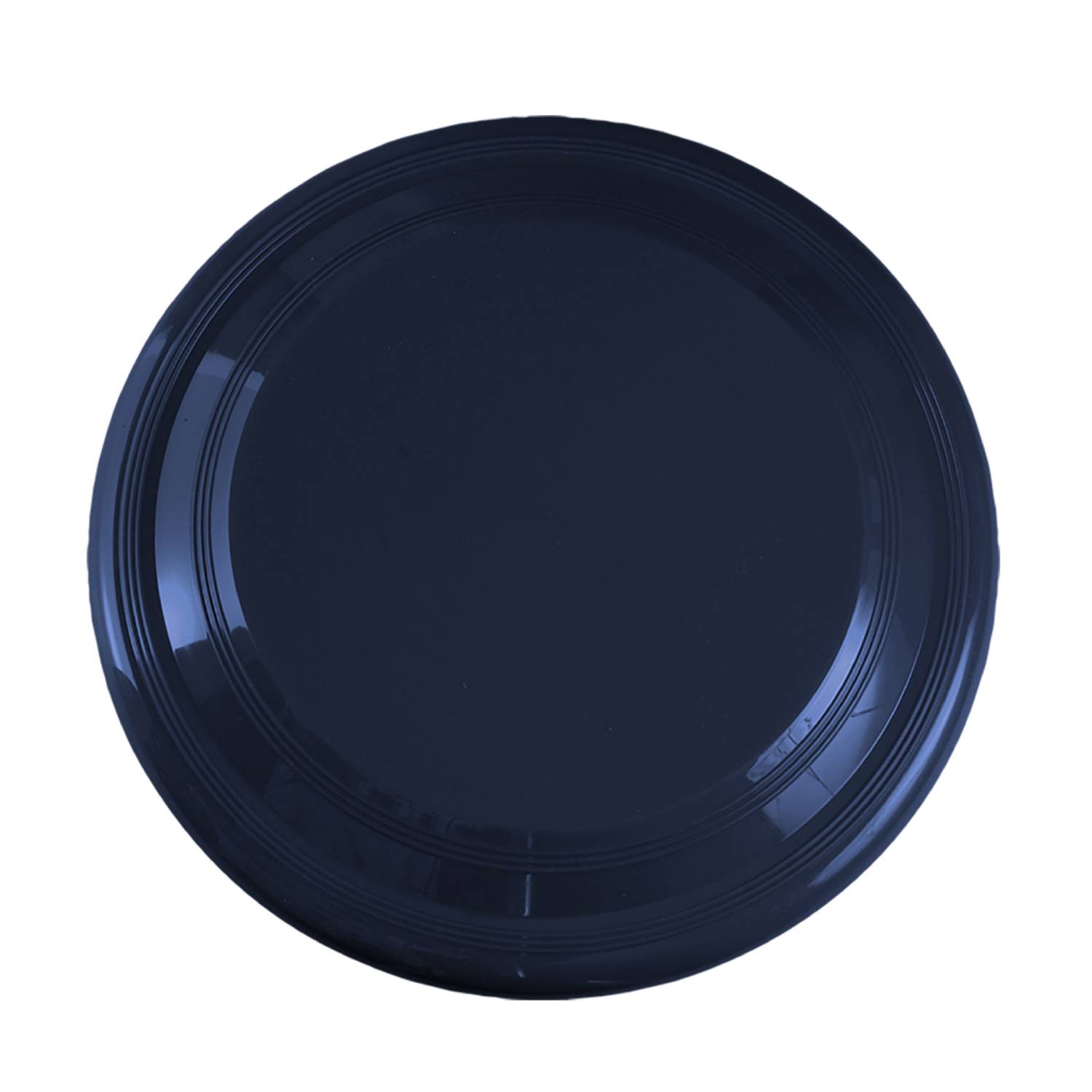 9 inch Flying Disc 16