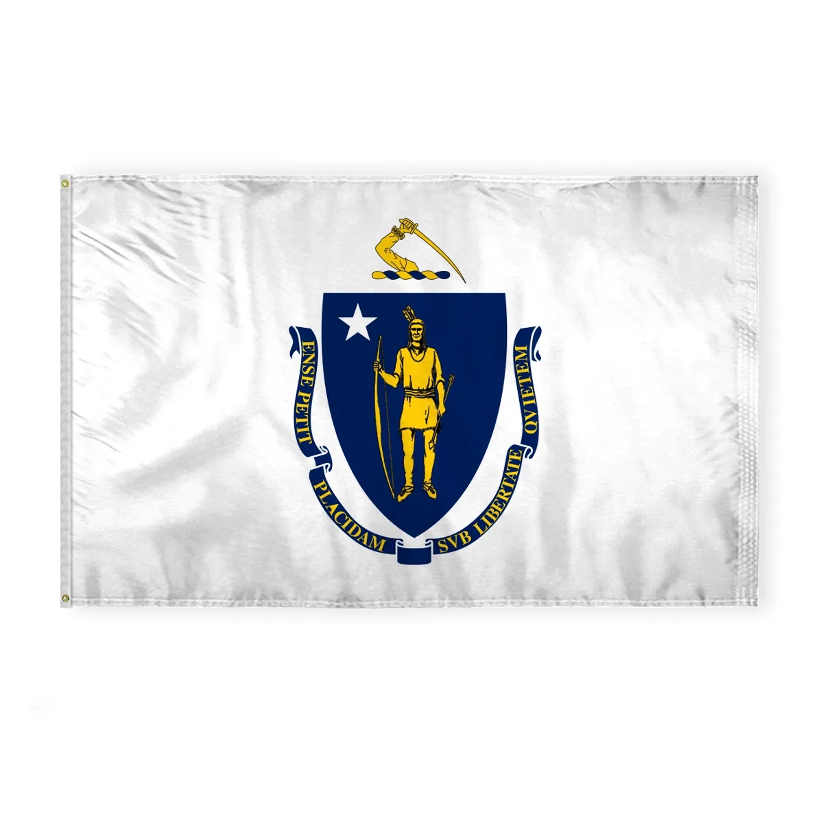 12"x18" to 8'x12' Massachusetts Nylon Flags 2