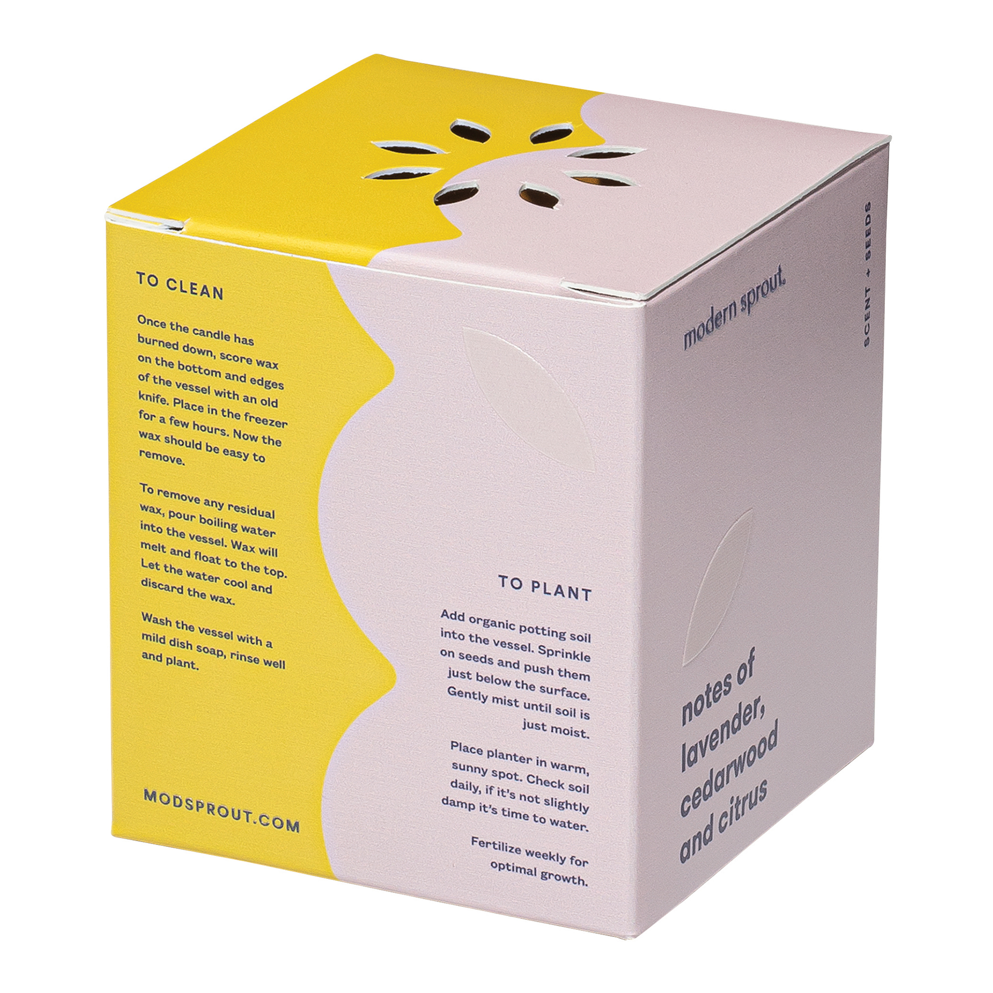 Modern Sprout® Rooted Candle 33