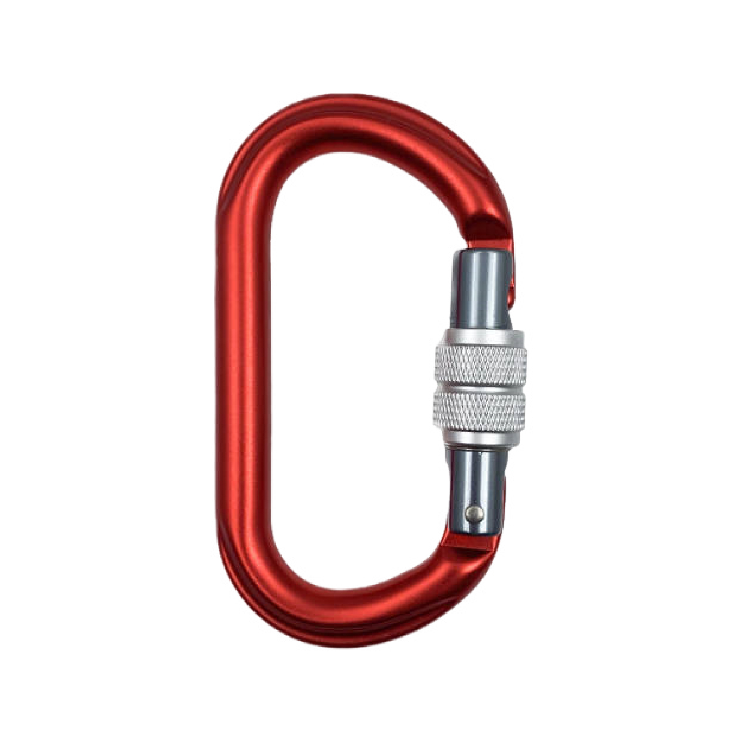 D Ring Screw Gate Aluminum Carabiner 6