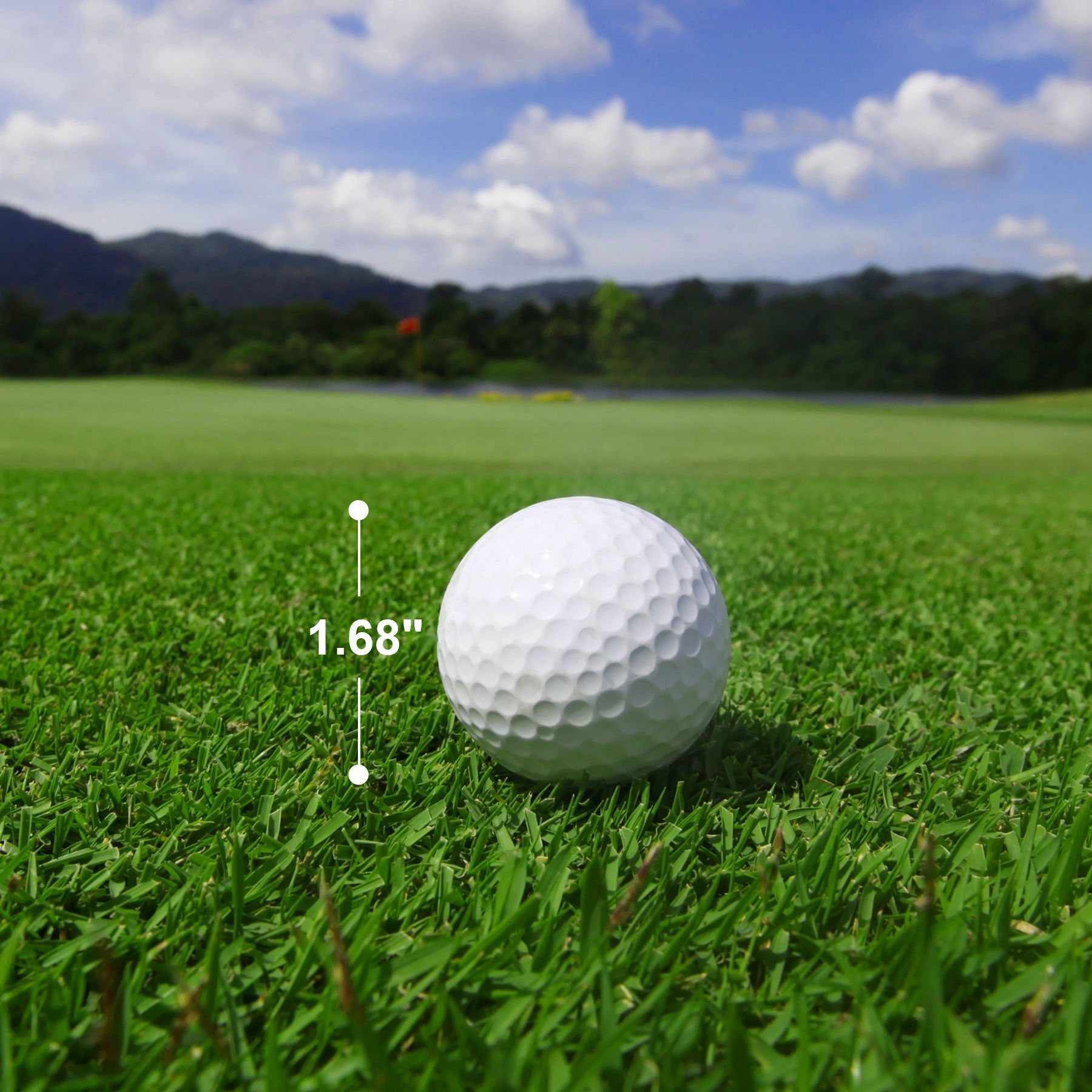 3 Pack Professional Golf Balls with Clear Tube 3