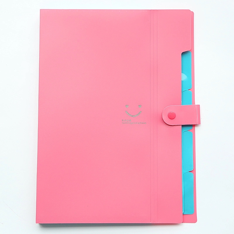 Expanding File Folder 5 Pockets 10