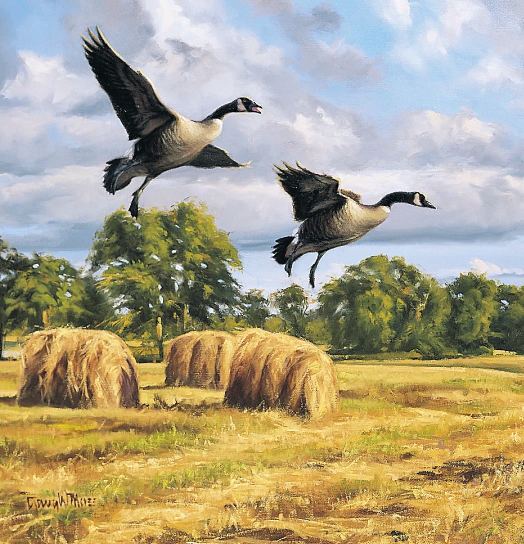 Triumph® Calendars Wildlife Art Calendar 36
