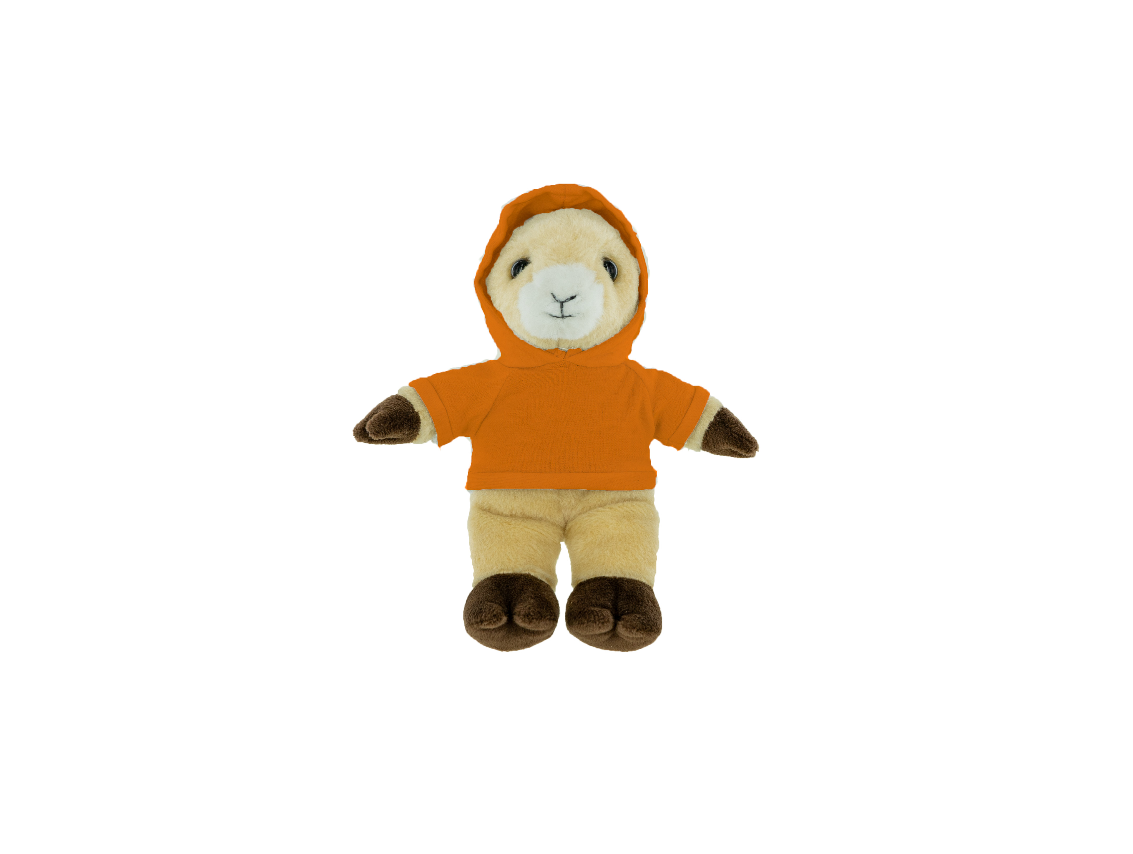 Plush Ram with Hoodie 20