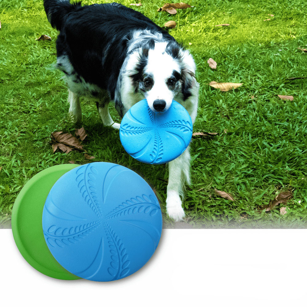 EVA Dog Training Flying Disc 1