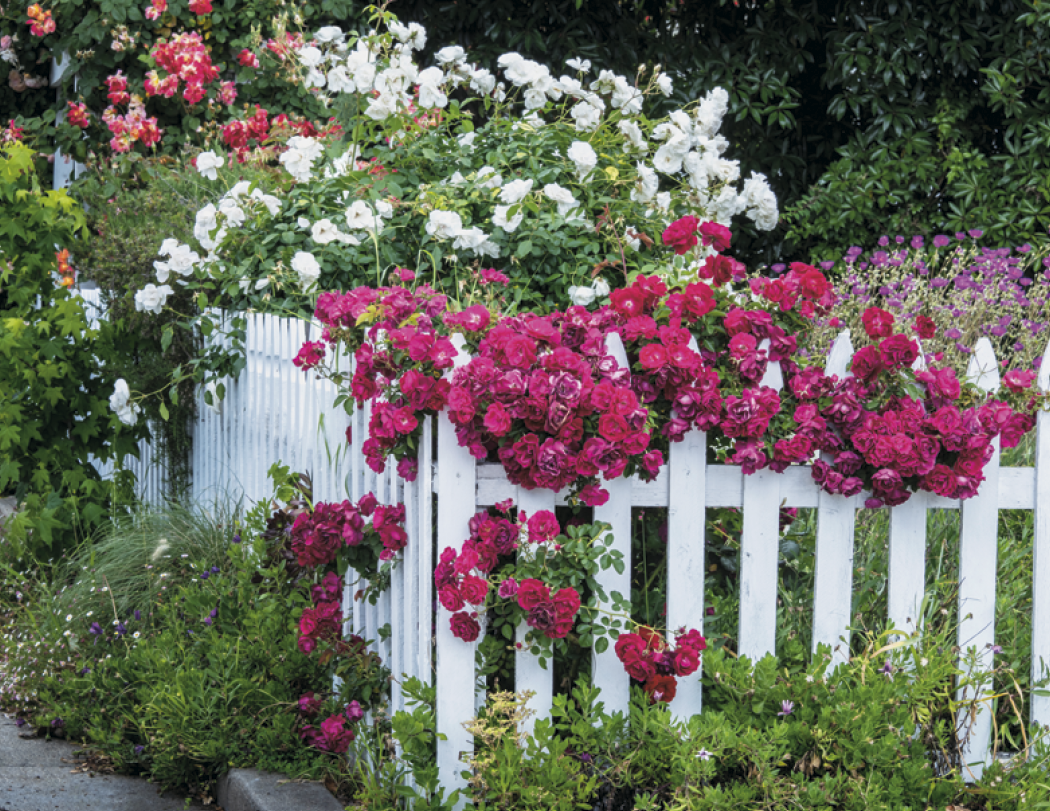 Good Value™ Garden Walk - Stapled Calendar 5