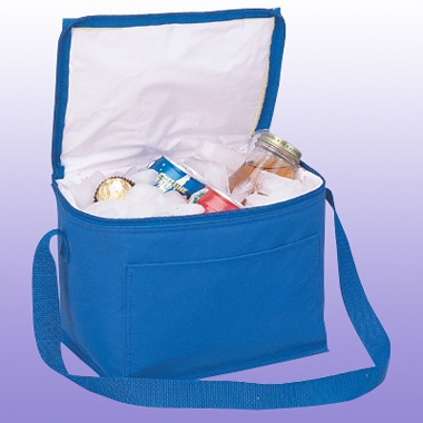 VINYL 6 PACK ICE CHEST COOLER 2