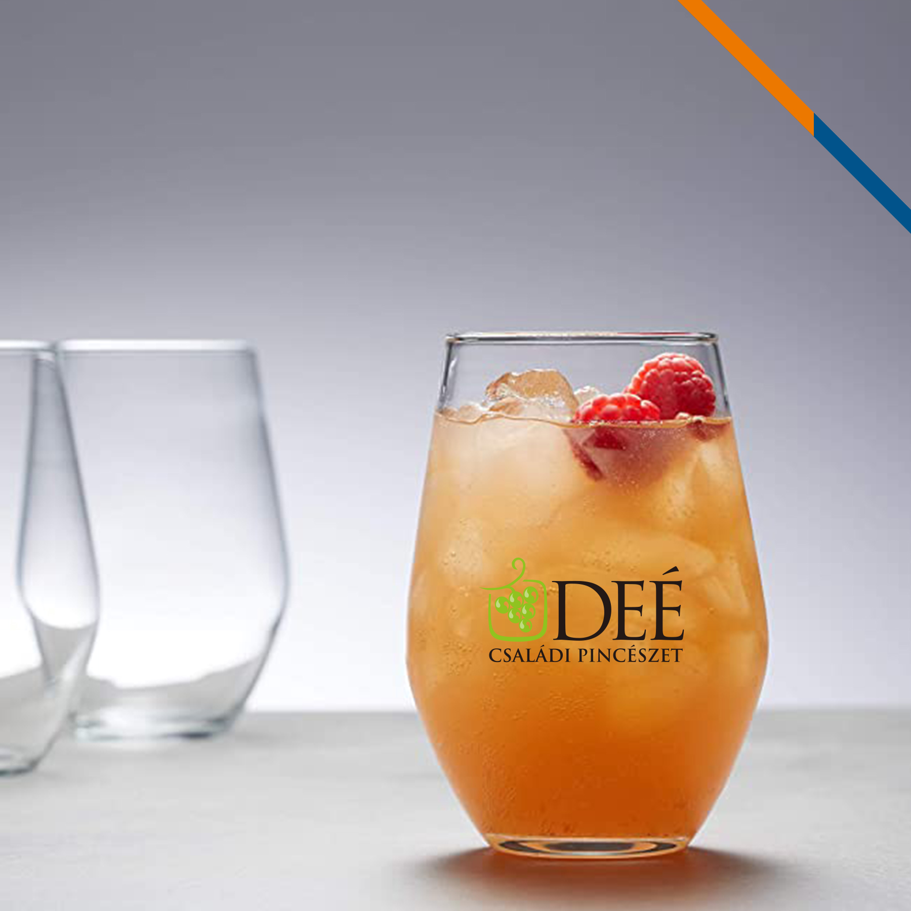 Dane Stemless Wine Glasses 9