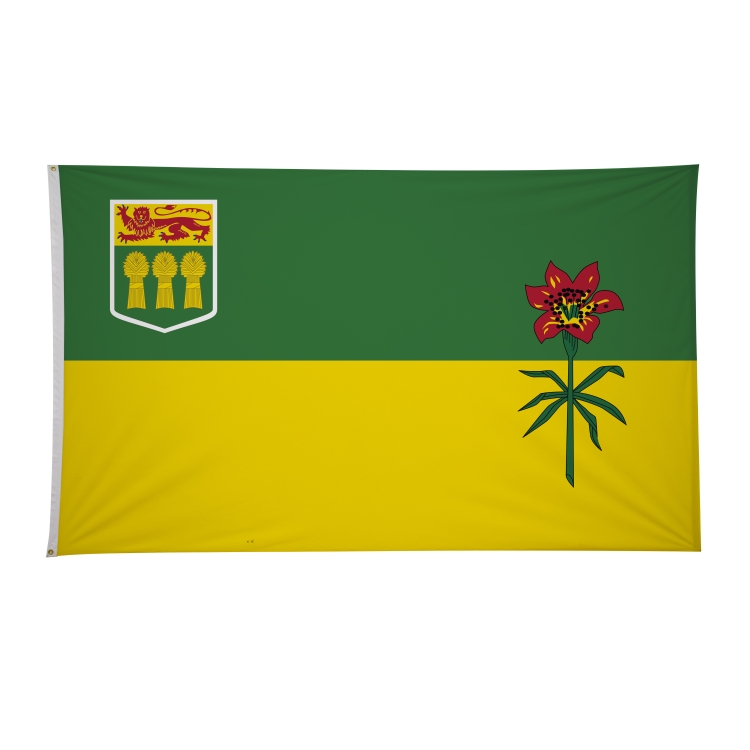 6' x 10' International Flags 20