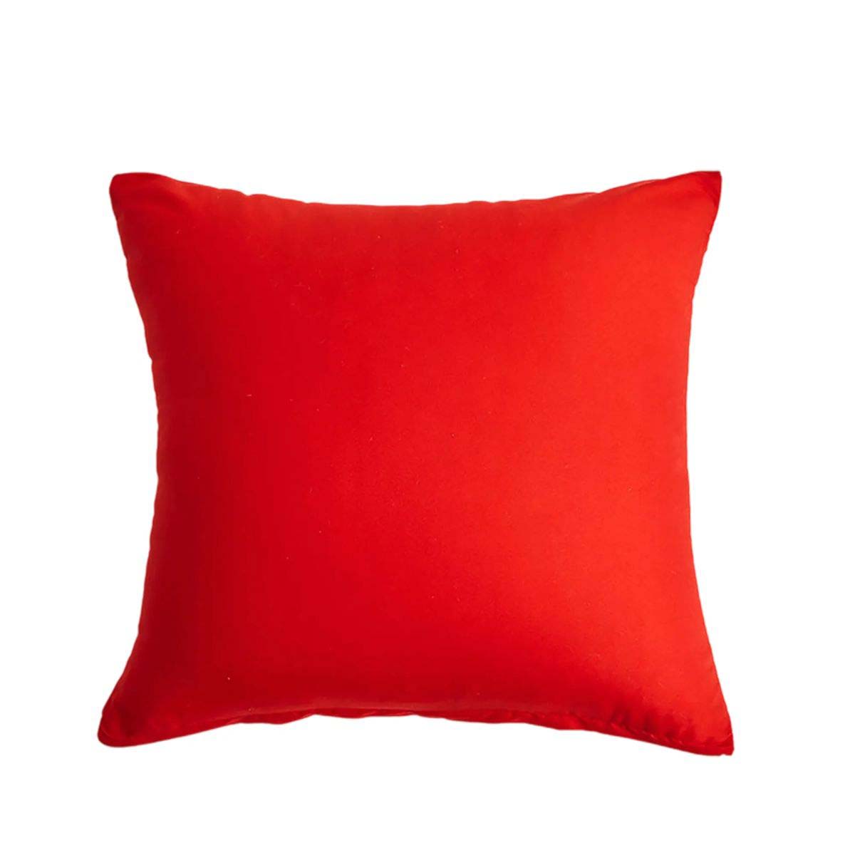 Soft Velvet Pillow Cover 18x18 for Bedrooms and Couches 12