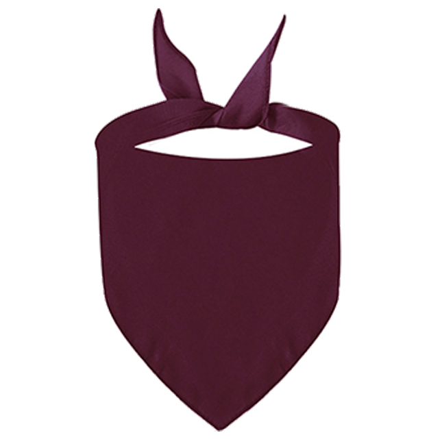 Polyester Breathable Pet Triangle Scarf 14