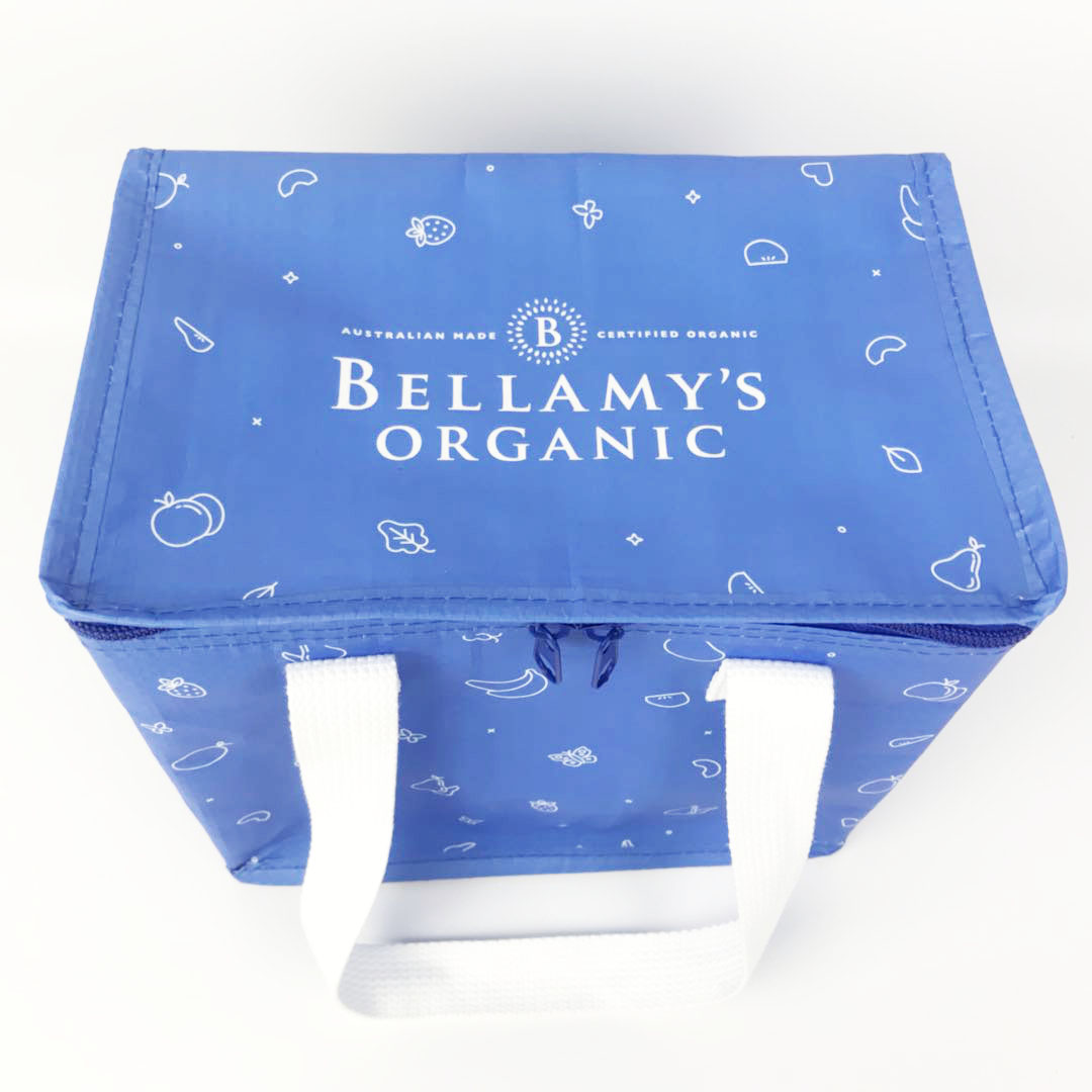 Custom Logo Fashion PP Woven Insulated Tote 12v Cooler Bag 2