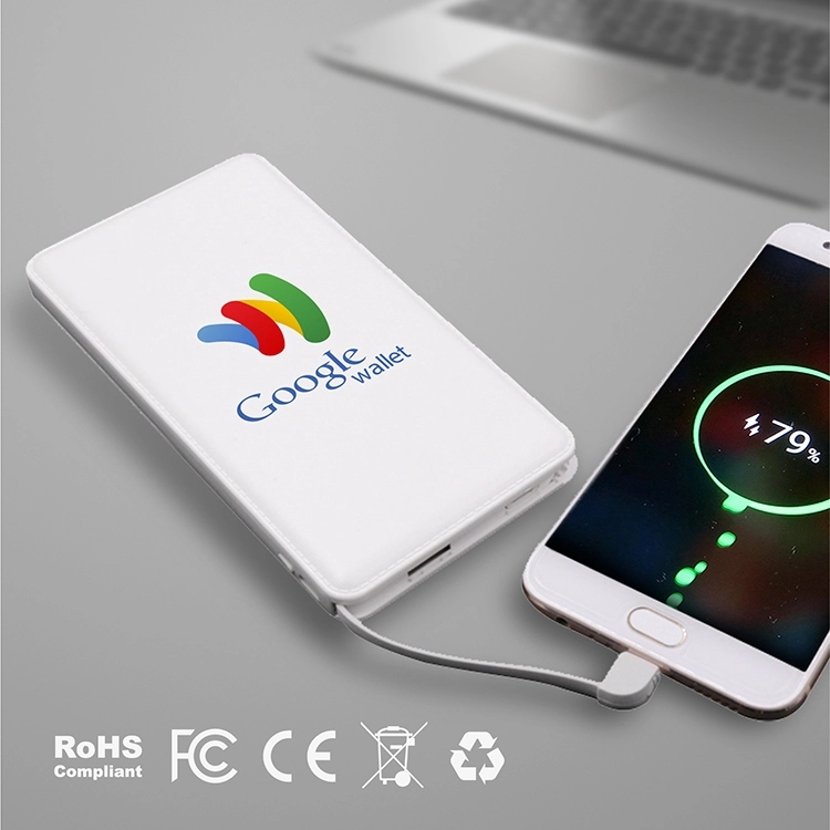 Davis - 10000 mAh Portable Power Bank With Cable 1