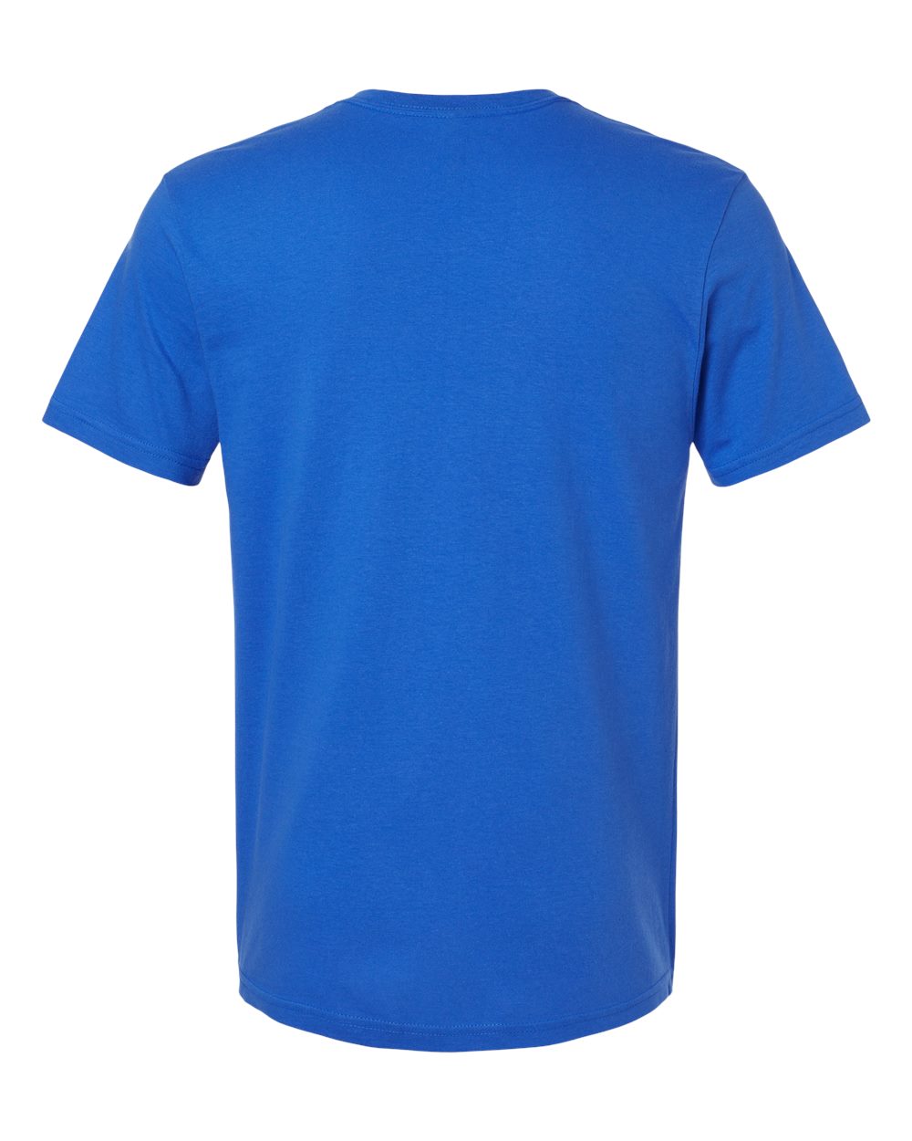 Unisex Softstyle® V-Neck T-Shirt - 64V00 1