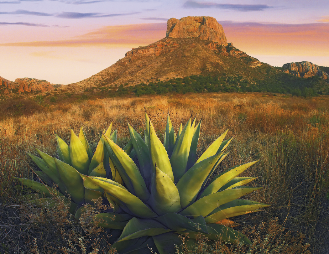 Triumph® Calendars National Parks Calendar 12