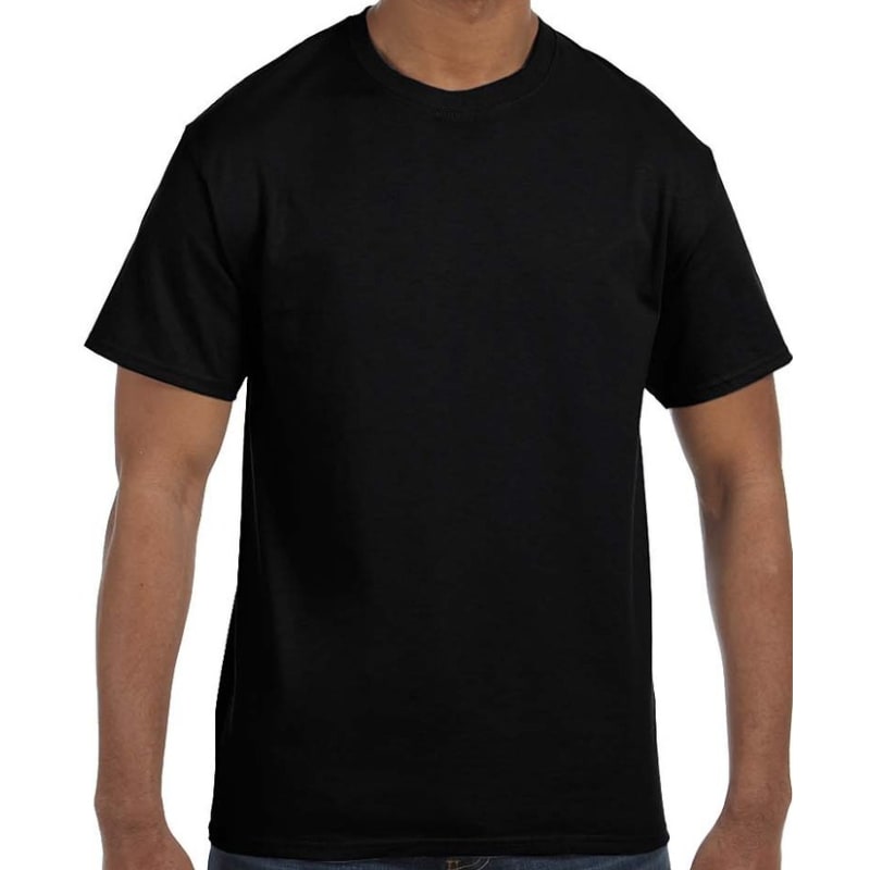Hanes Men's Authentic-T T-Shirt 9
