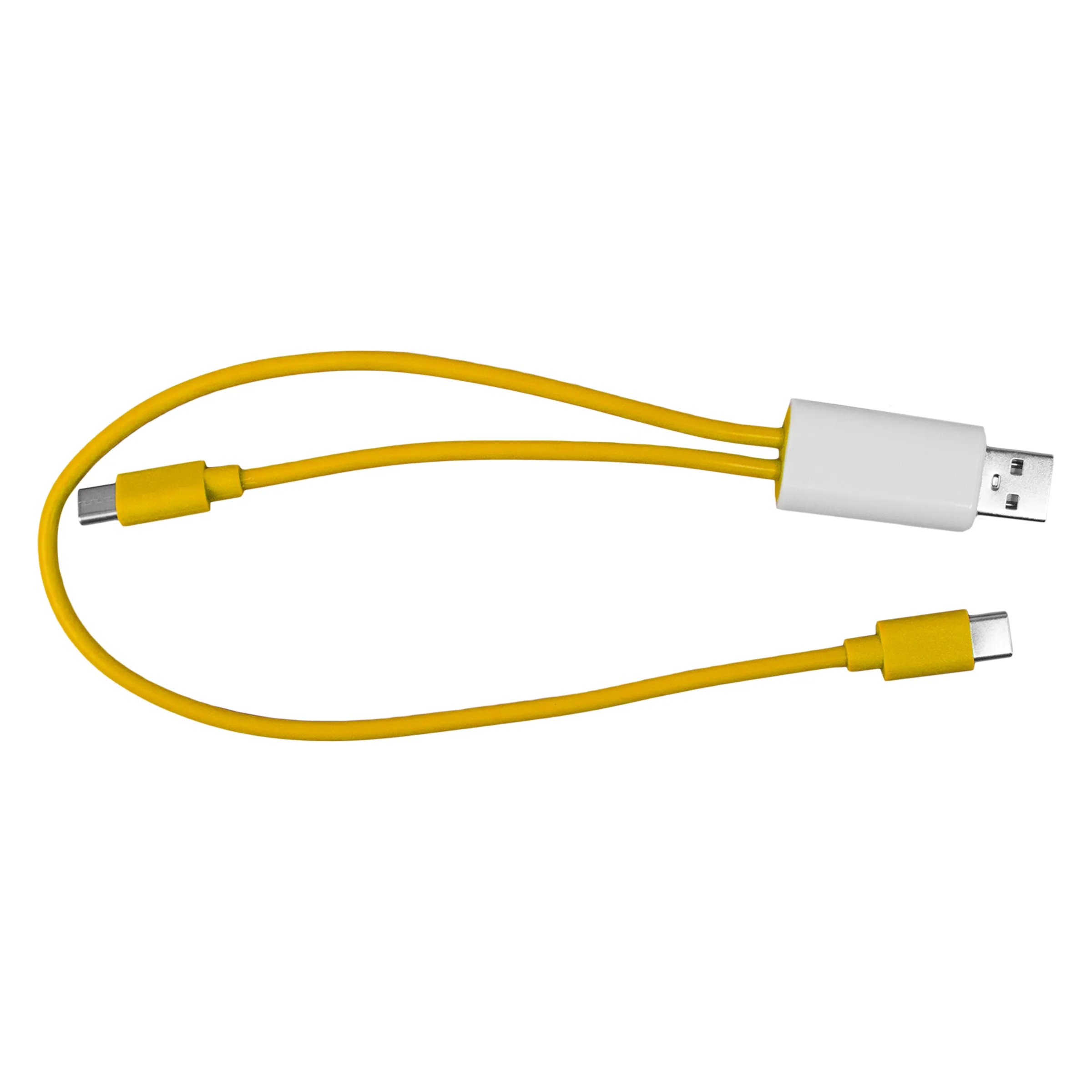 Dual Input A + C to C Accent Cable 11