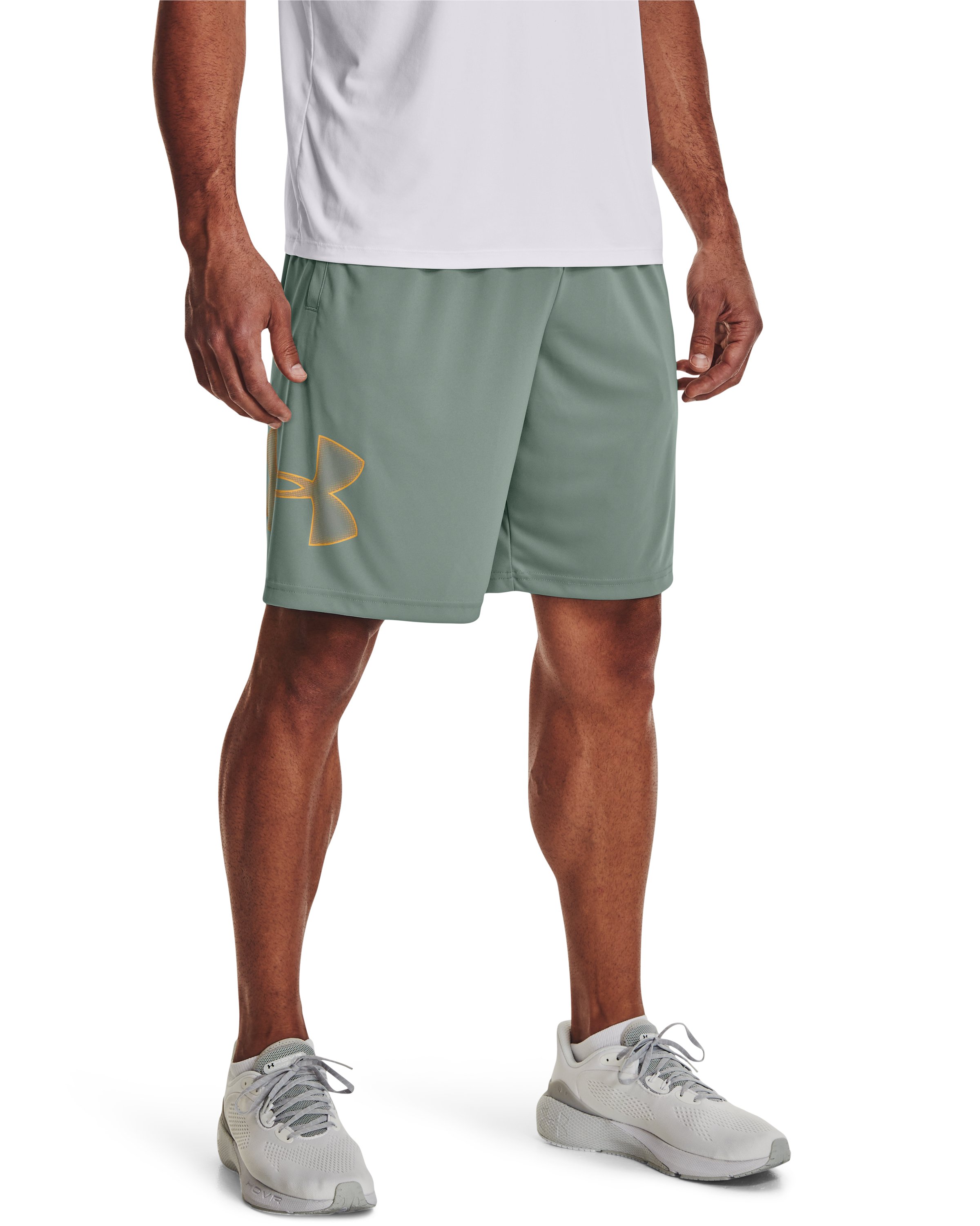 UA Tech Graphic Men's 10 Shorts 43